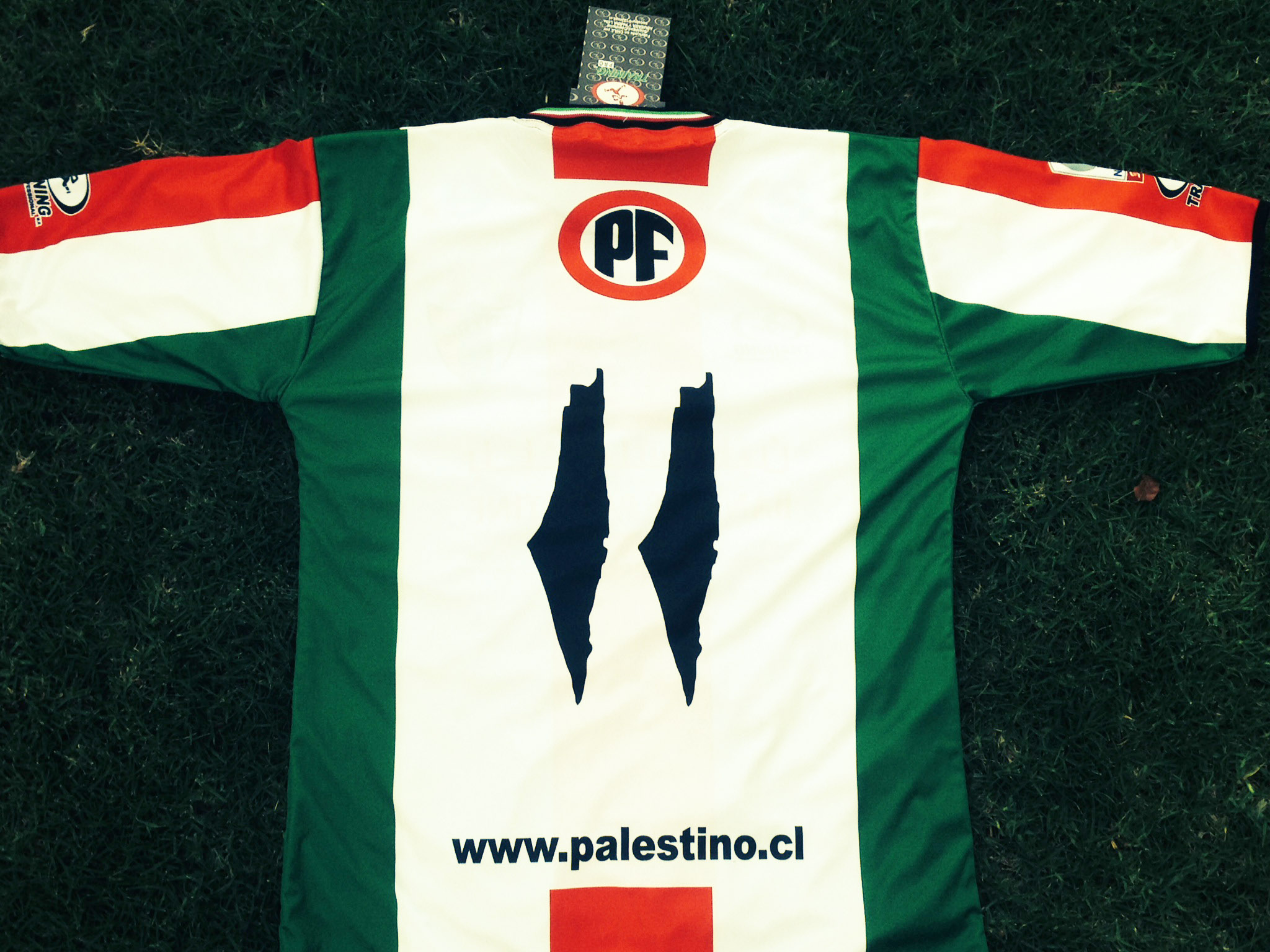 Club Deportivo Palestino Wallpapers