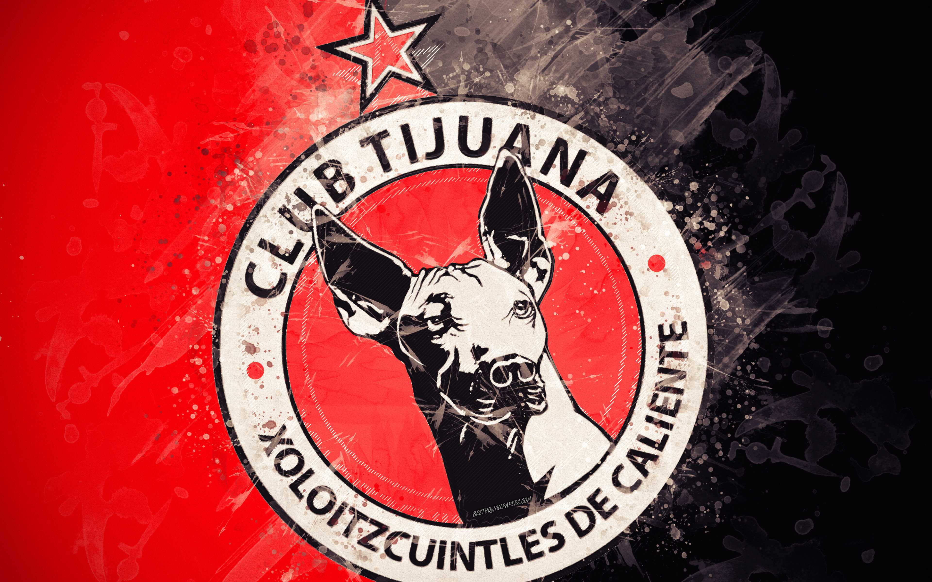 Club Tijuana Wallpapers