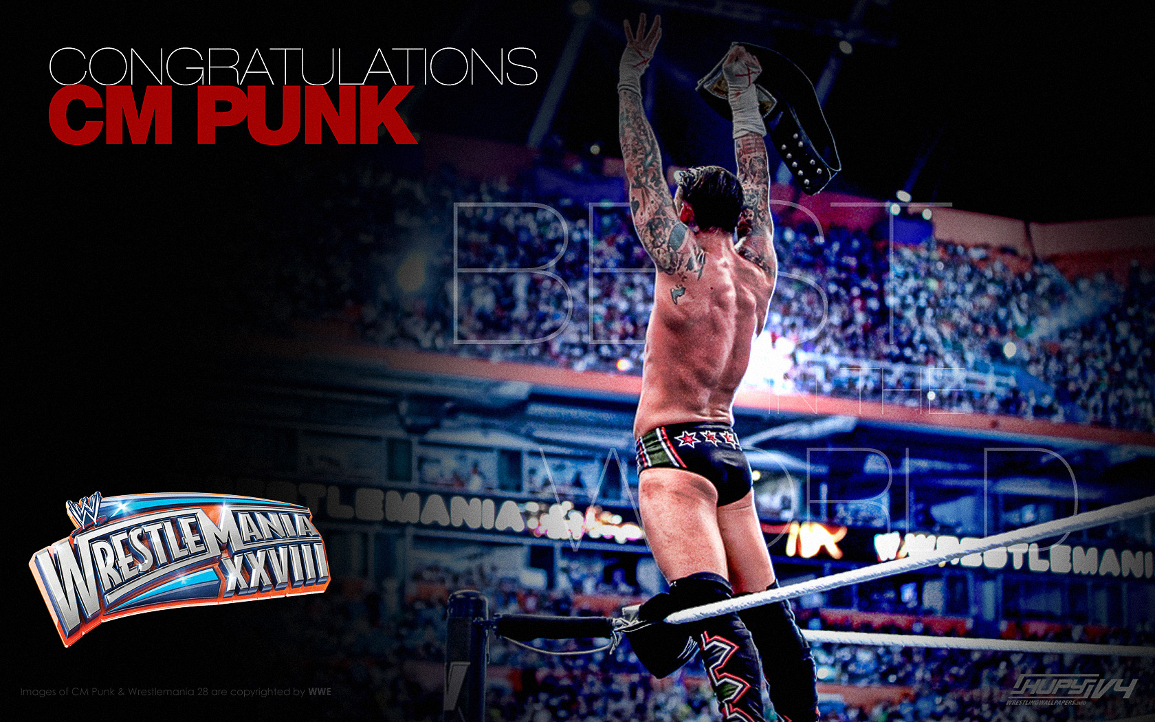 Cm Punk Wallpapers