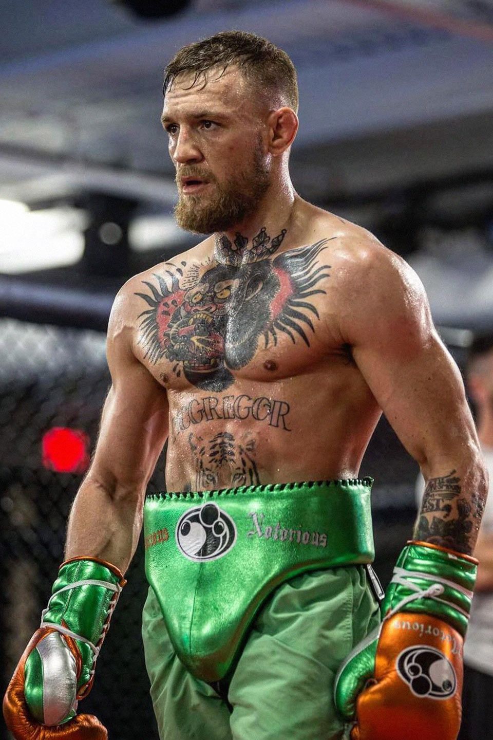 Conor Mcgregor Iphone Wallpapers