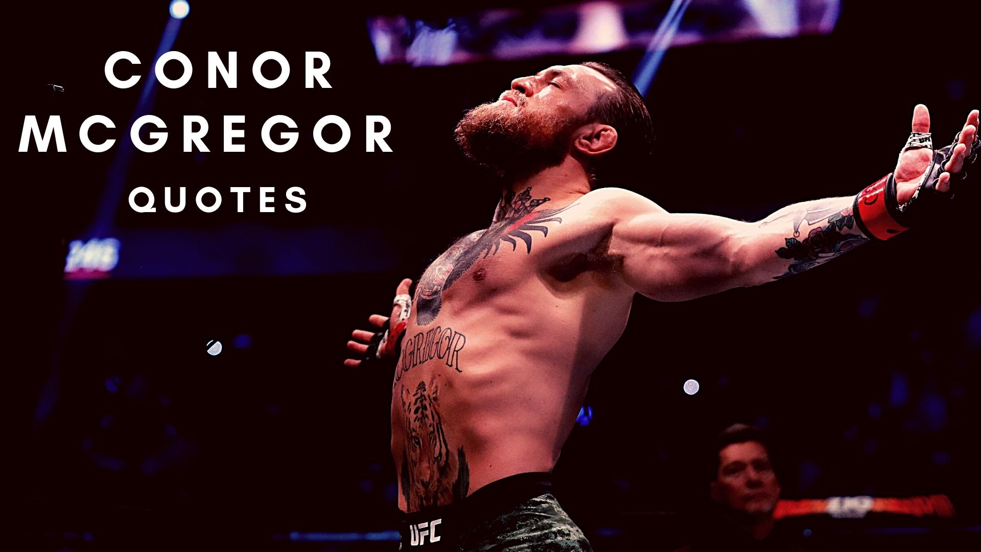 Conor Mcgregor Quotes Wallpapers