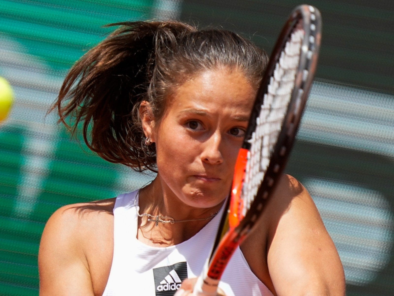 Daria Kasatkina Wallpapers