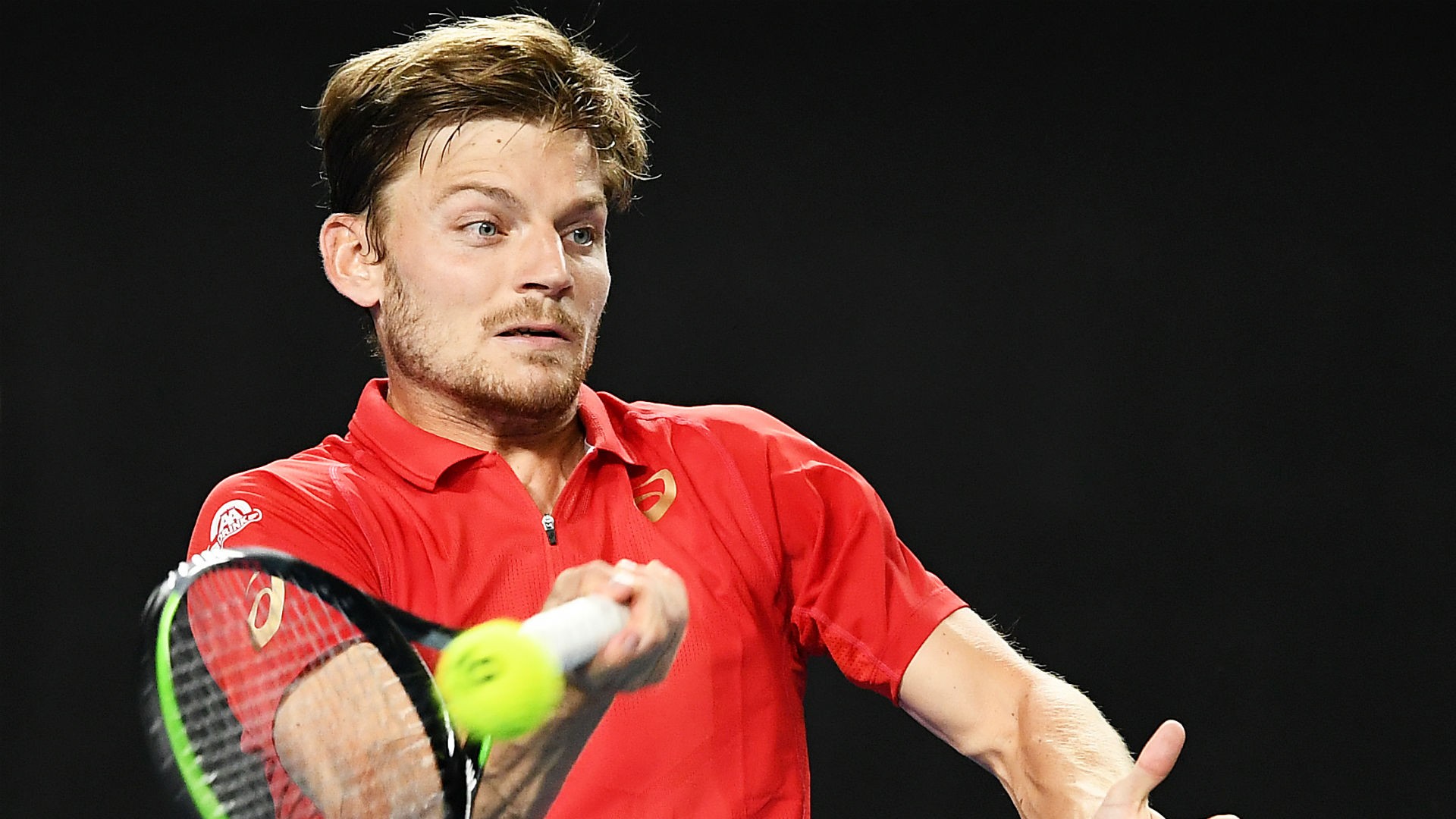 David Goffin Wallpapers