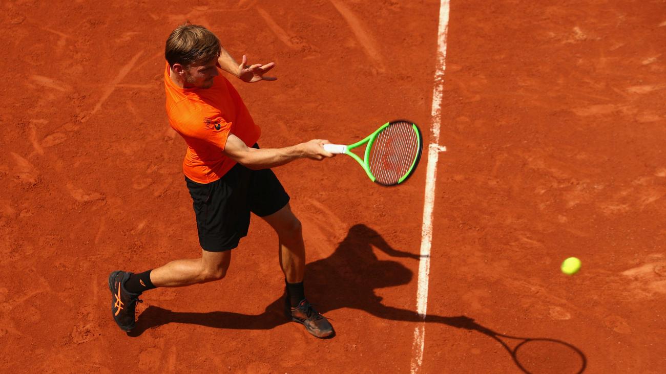 David Goffin Wallpapers