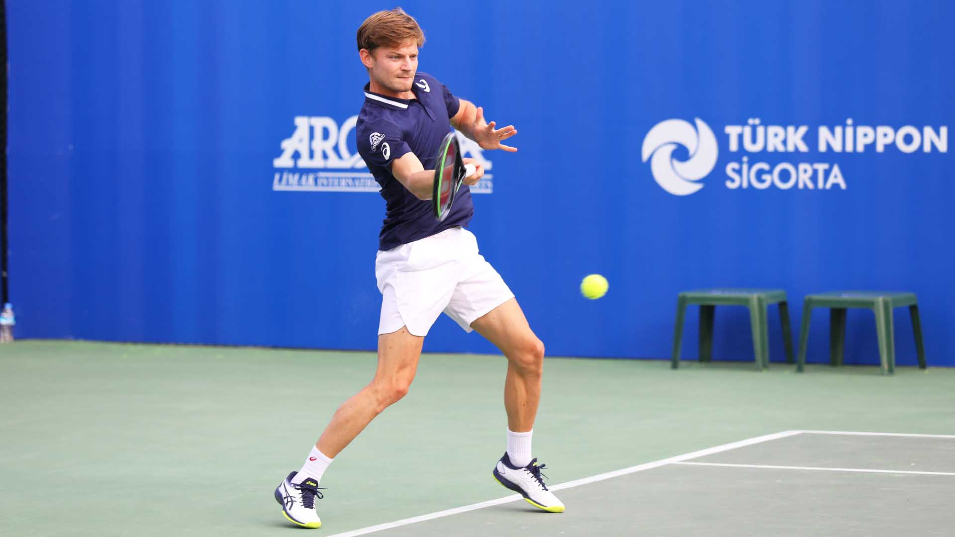 David Goffin Wallpapers