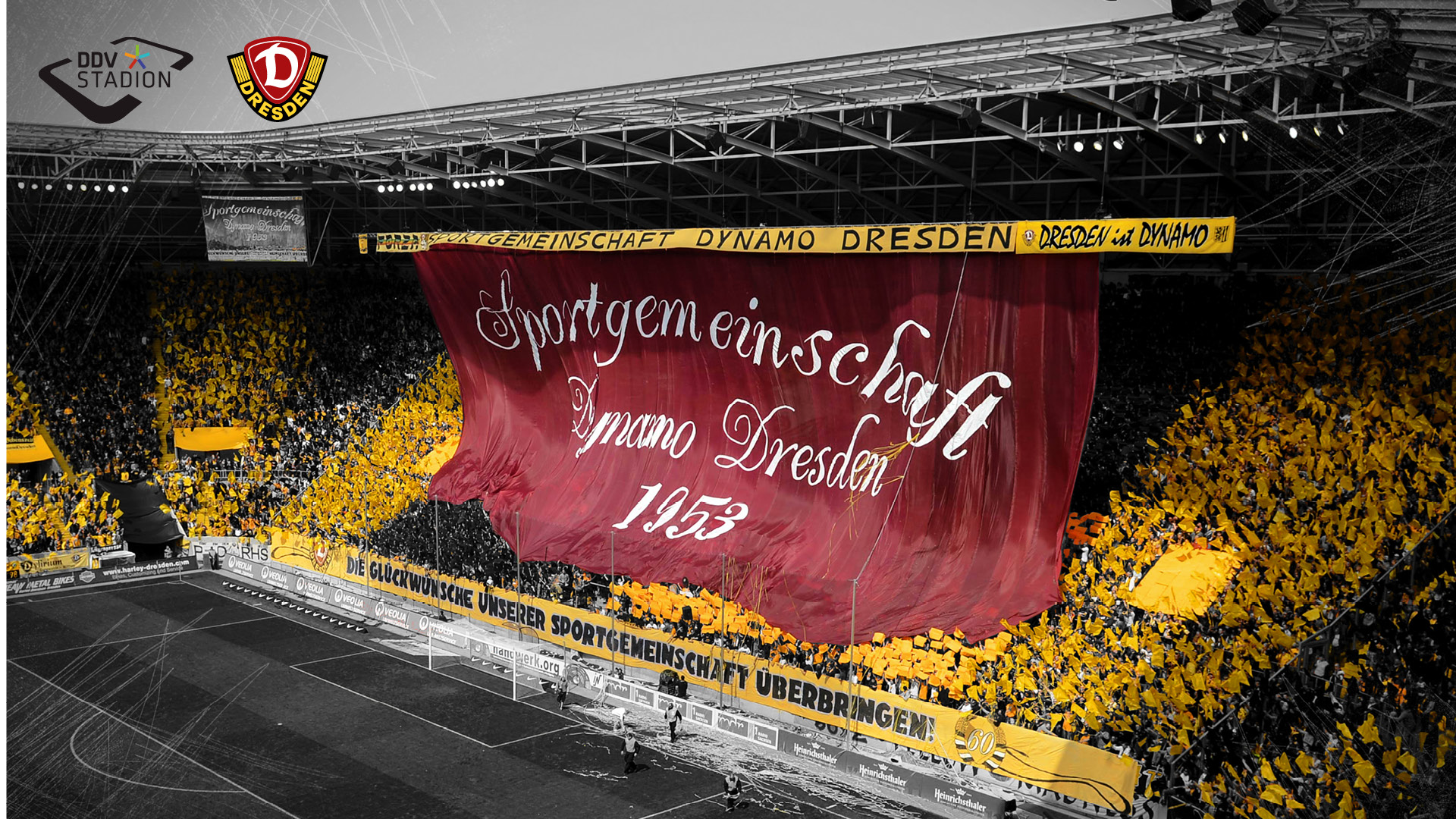 Dynamo Dresden Wallpapers