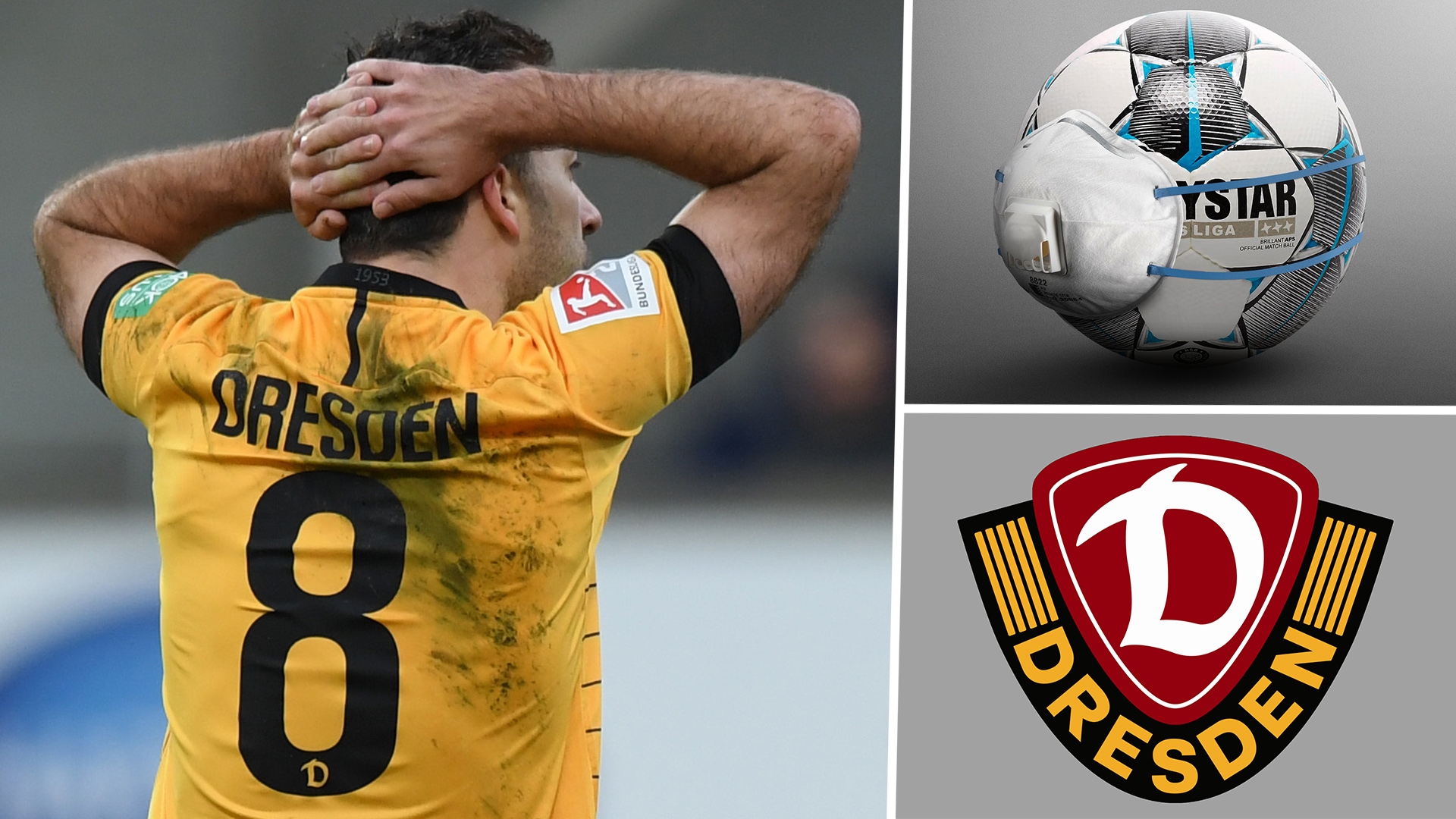 Dynamo Dresden Wallpapers