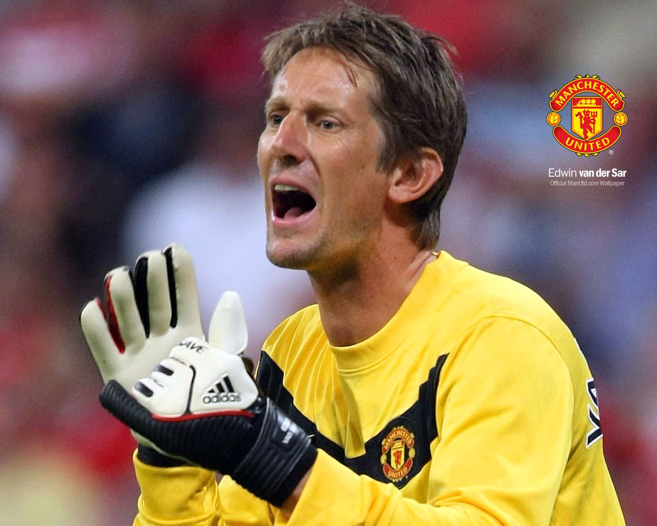 Edwin Van Der Sar Wallpapers