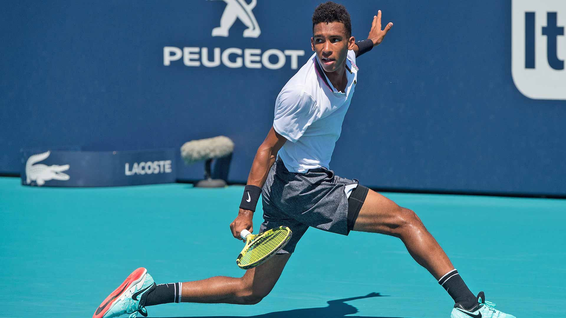 Felix Auger Aliassime Wallpapers