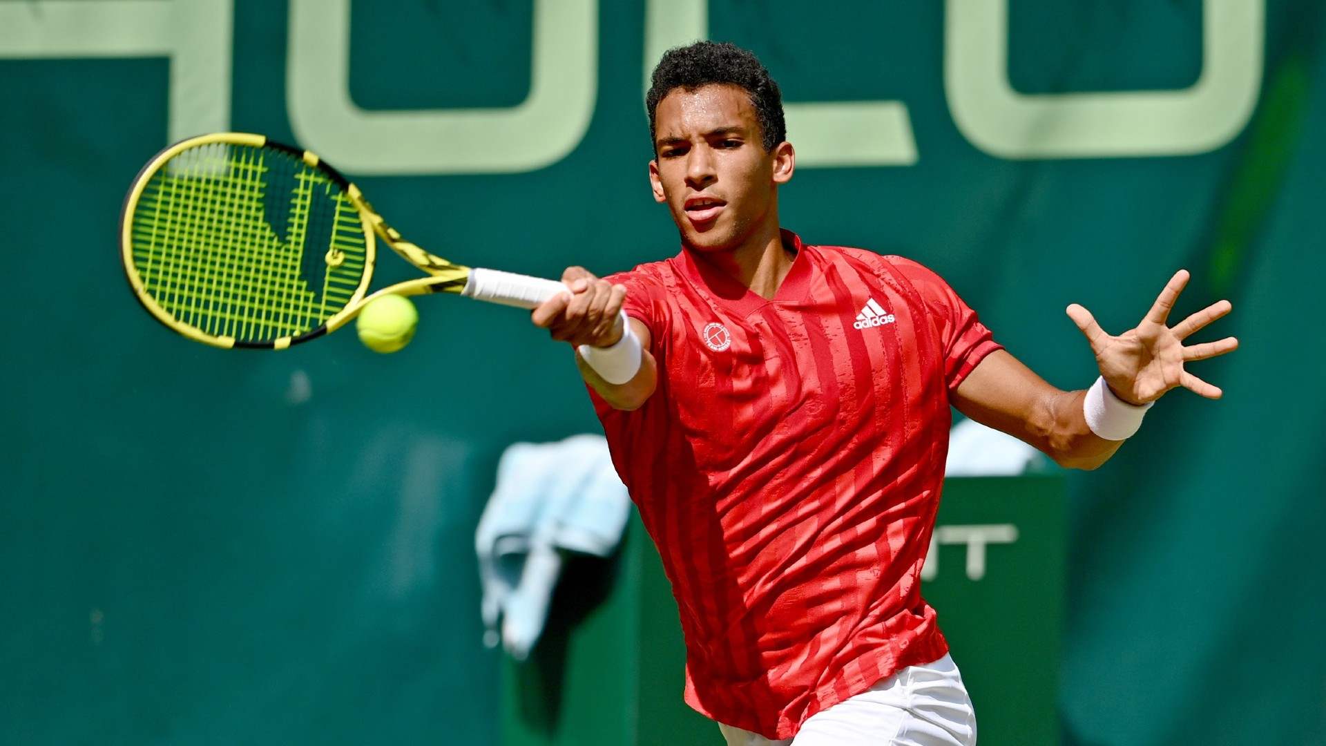 Felix Auger Aliassime Wallpapers