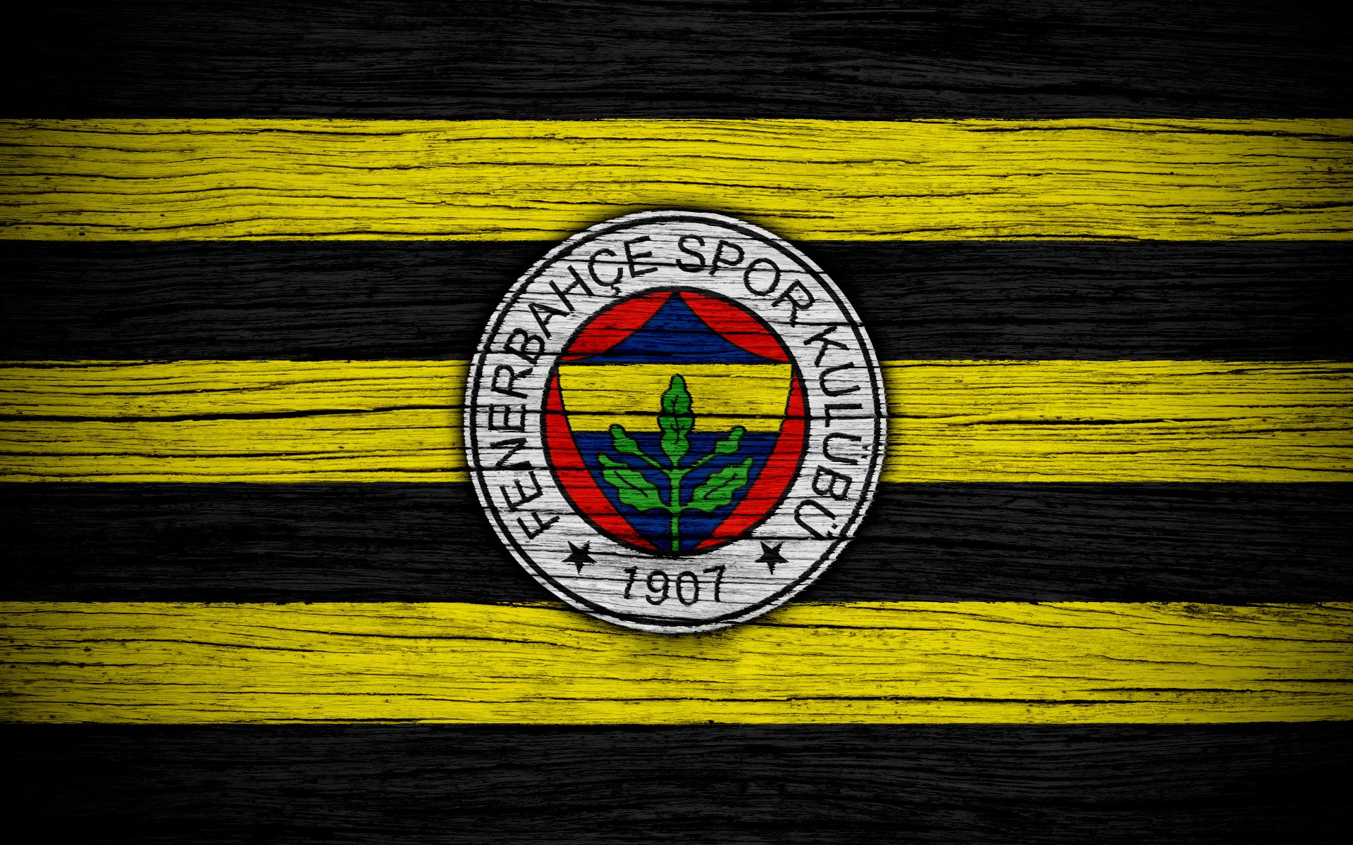 Fenerbahг§E S.K. Wallpapers