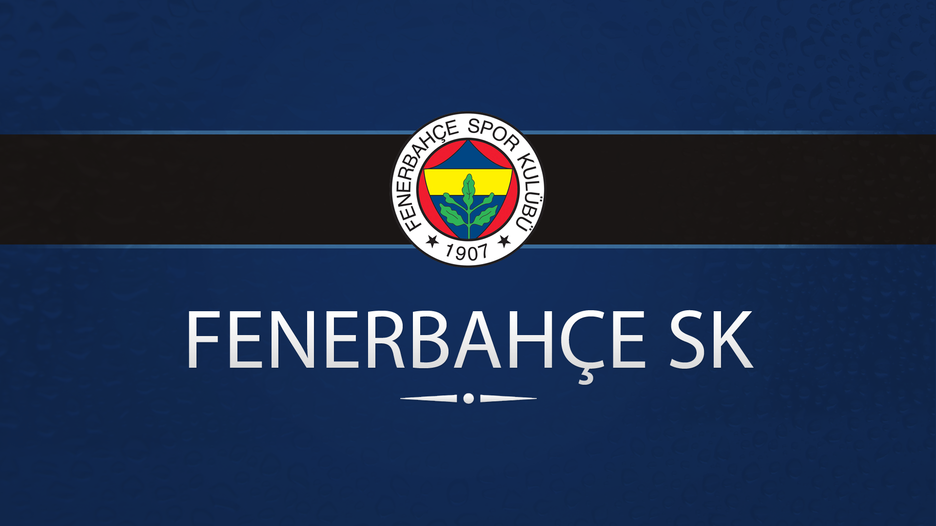 Fenerbahг§E S.K. Wallpapers