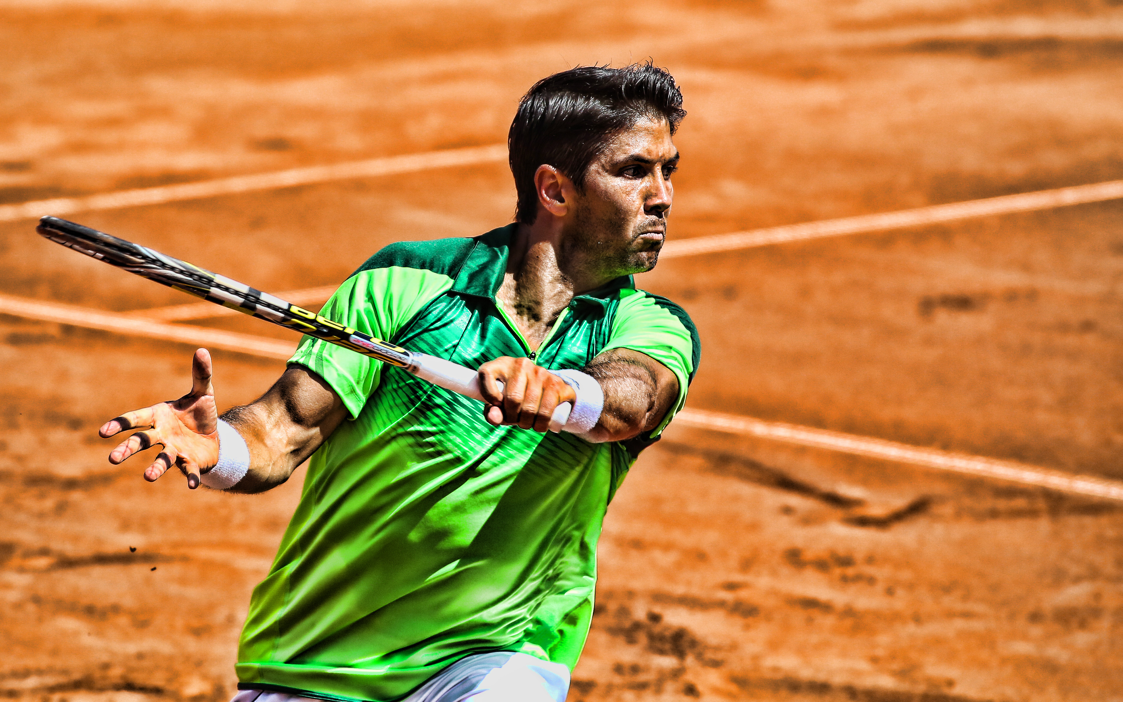 Fernando Verdasco Wallpapers