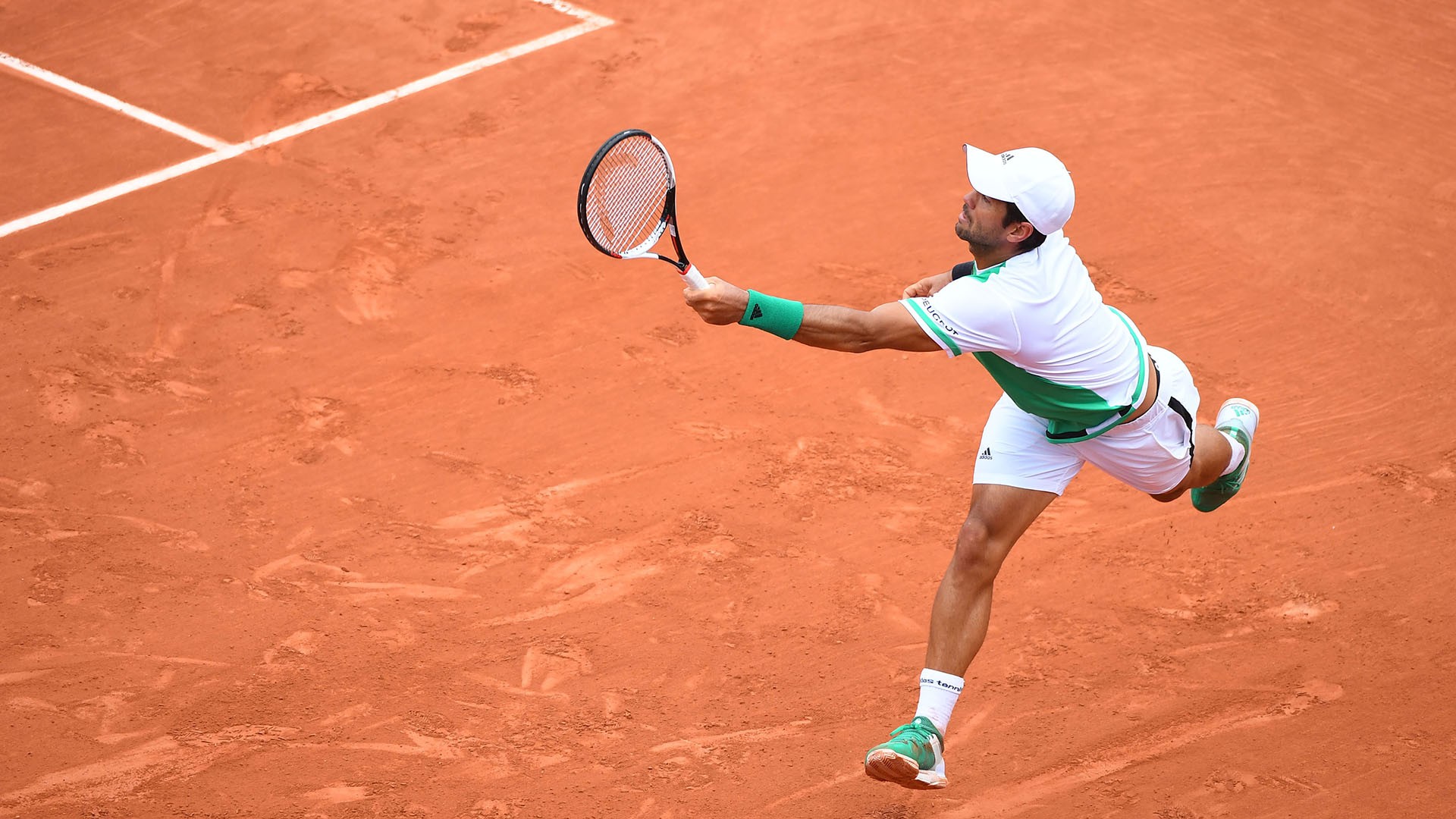 Fernando Verdasco Wallpapers