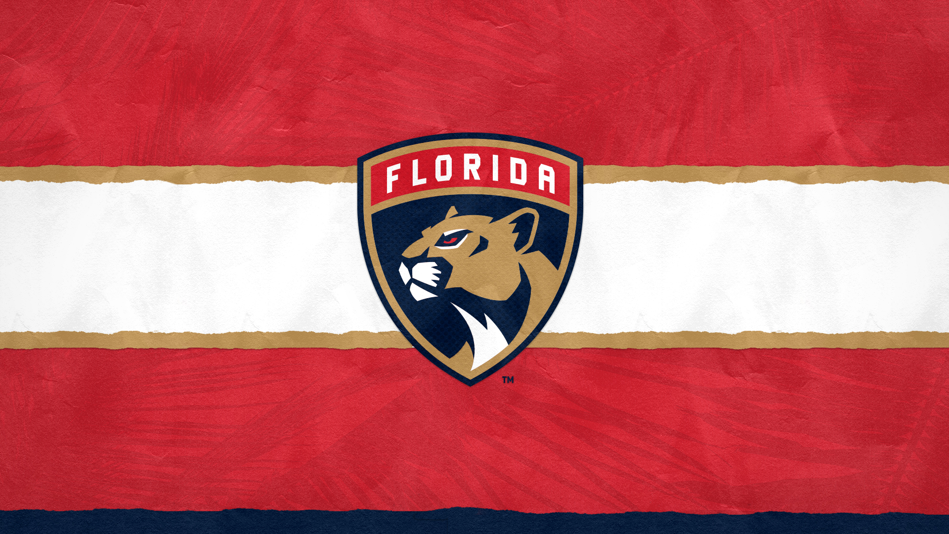 Florida Panthers Wallpapers