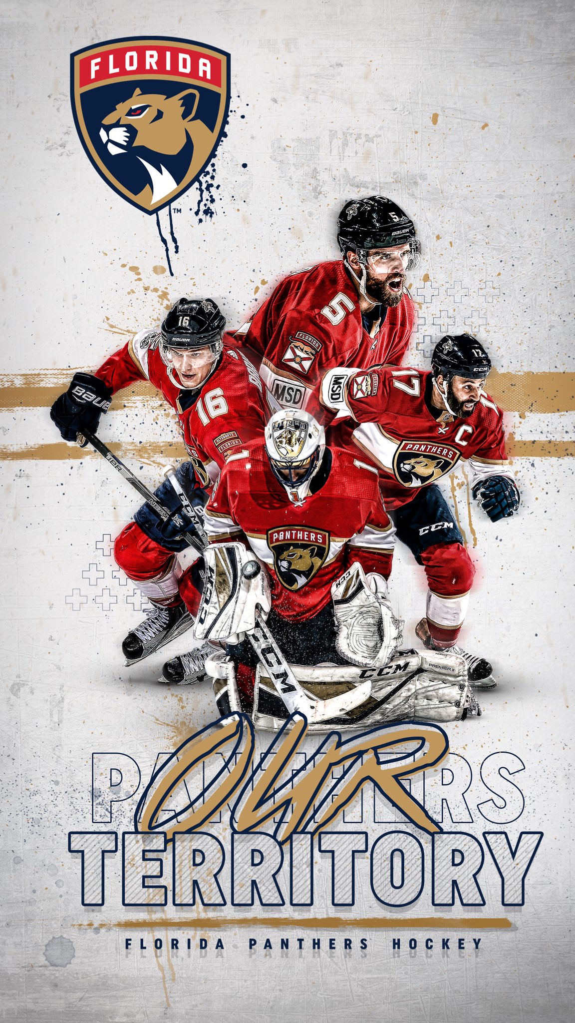 Florida Panthers Wallpapers