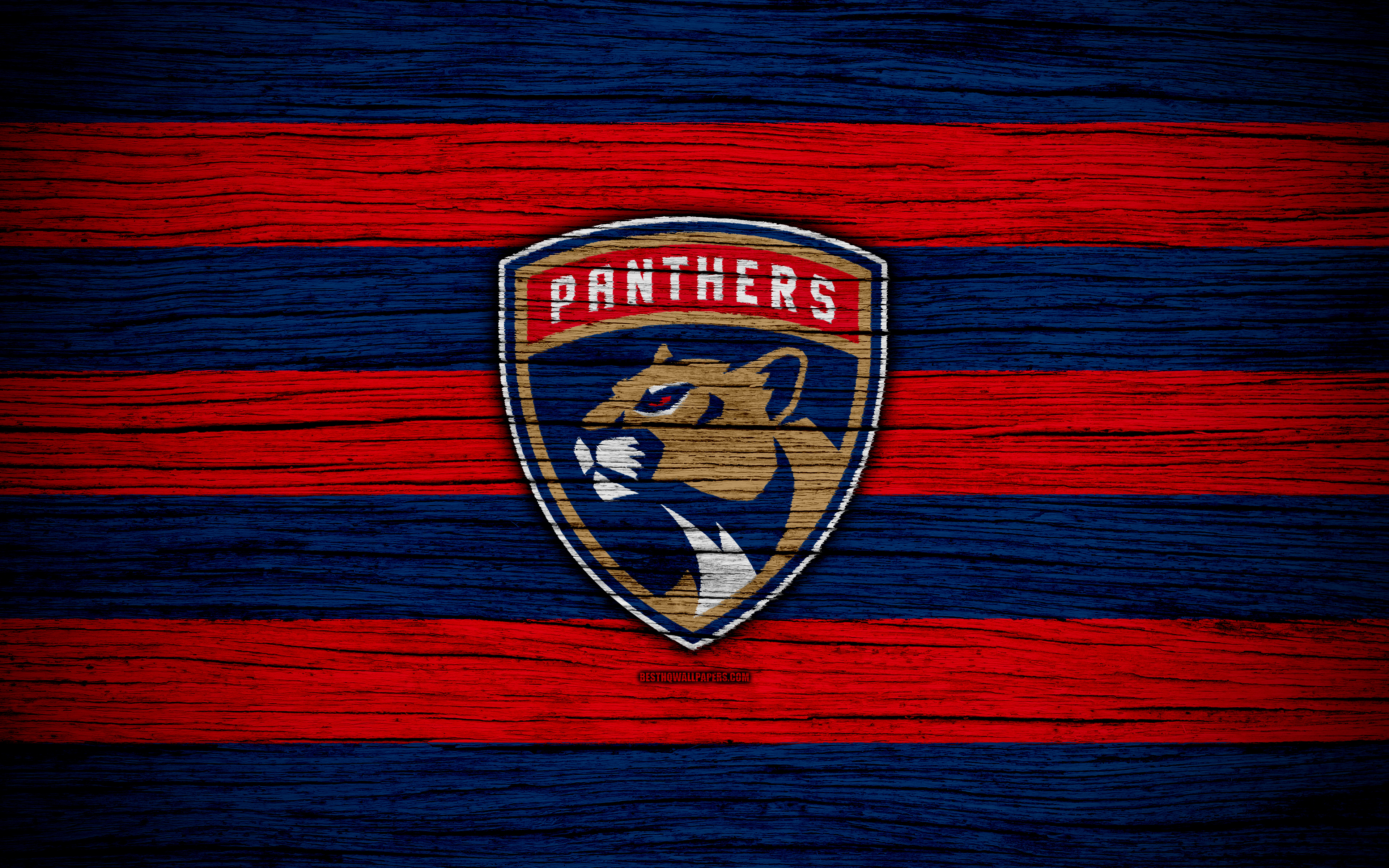 Florida Panthers Wallpapers