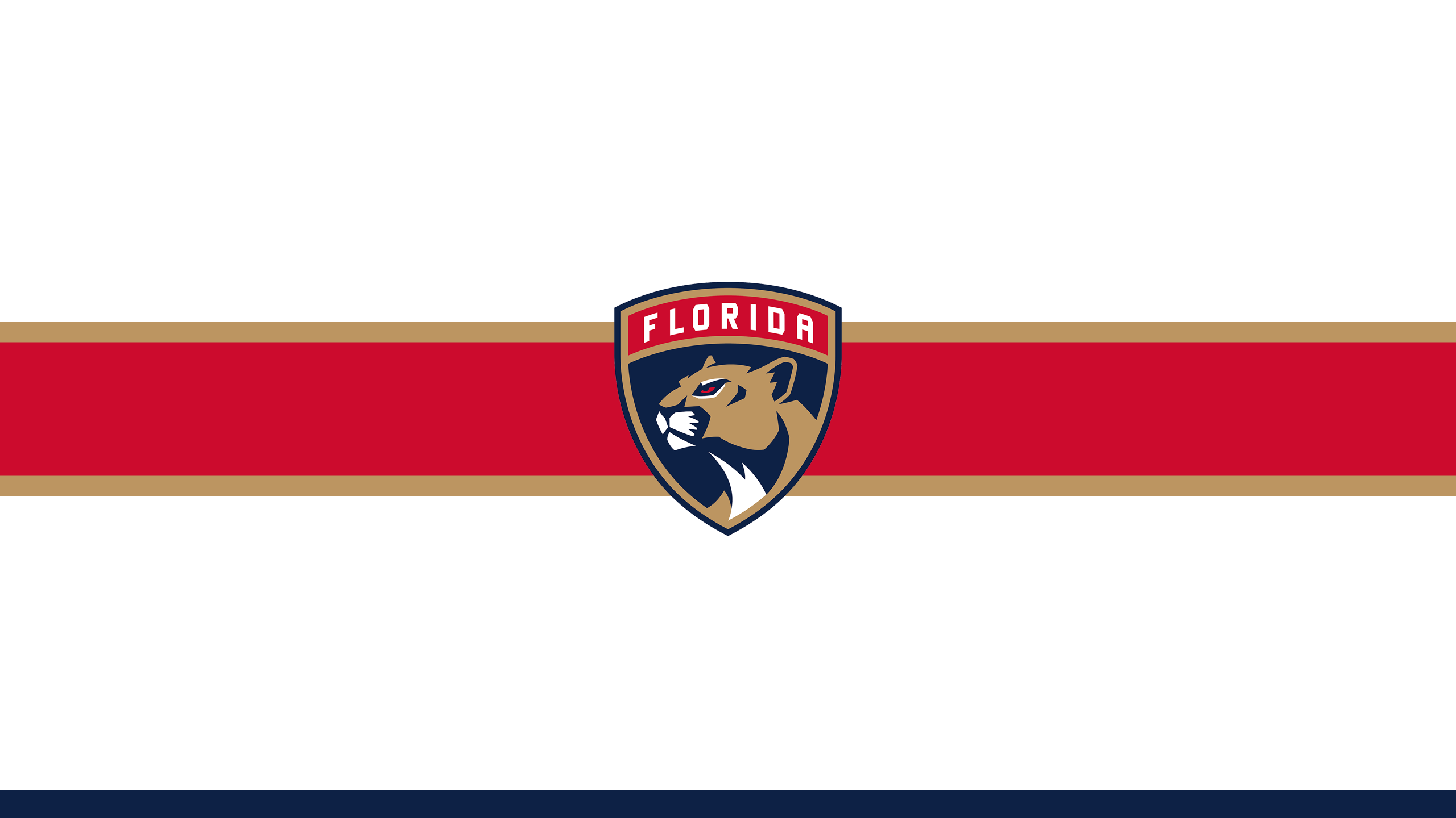 Florida Panthers Wallpapers