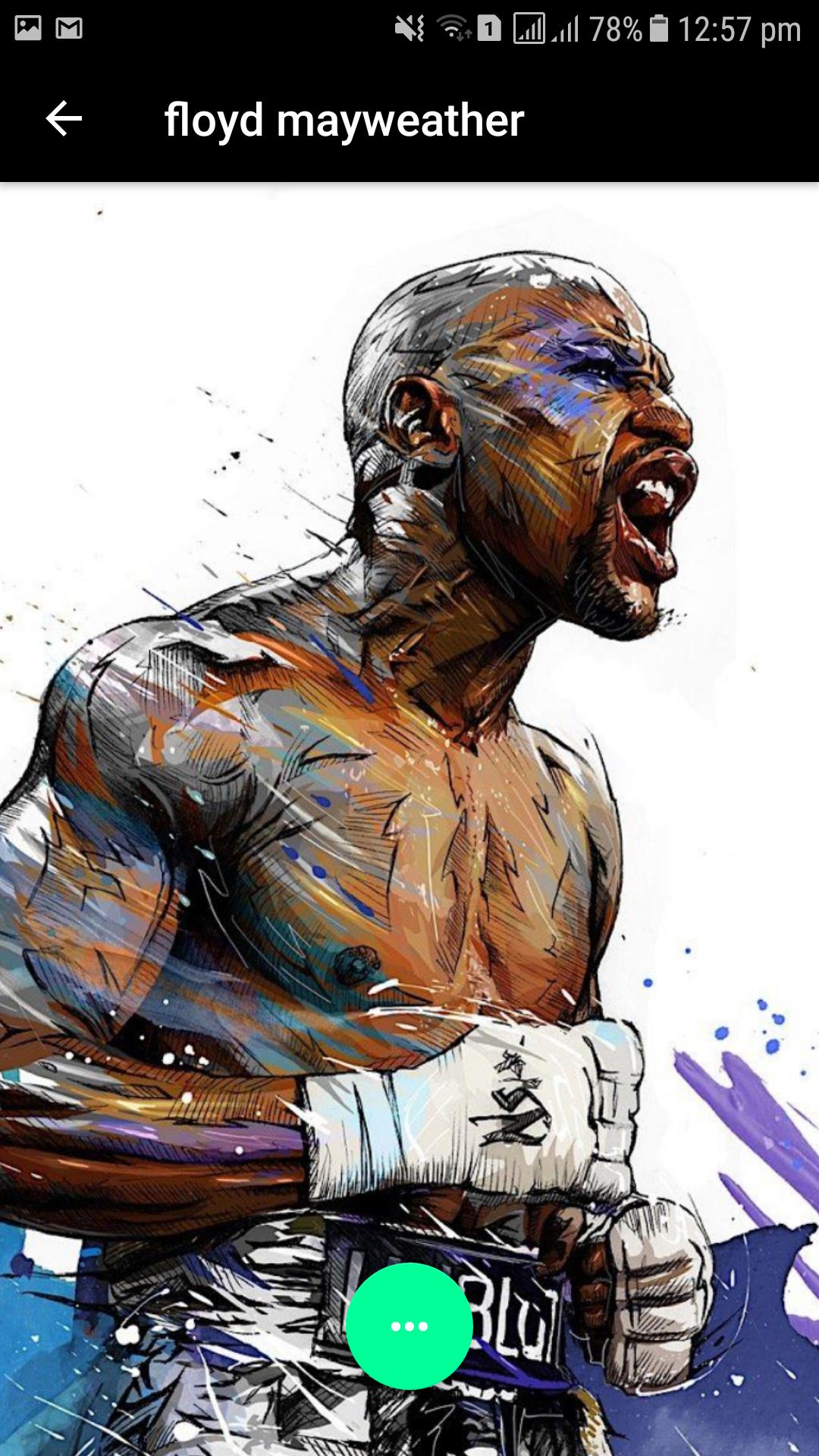 Floyd Mayweather Wallpapers