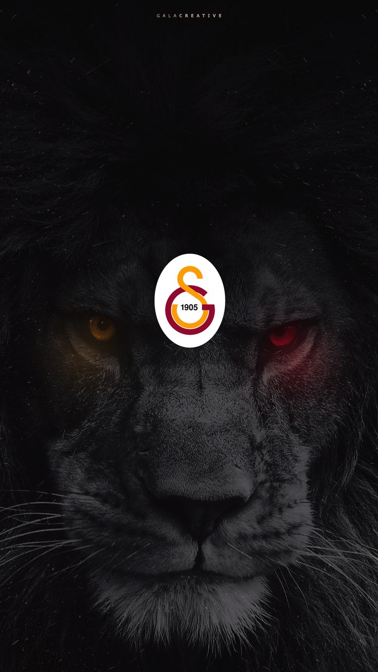 Galatasaray S.K. Wallpapers