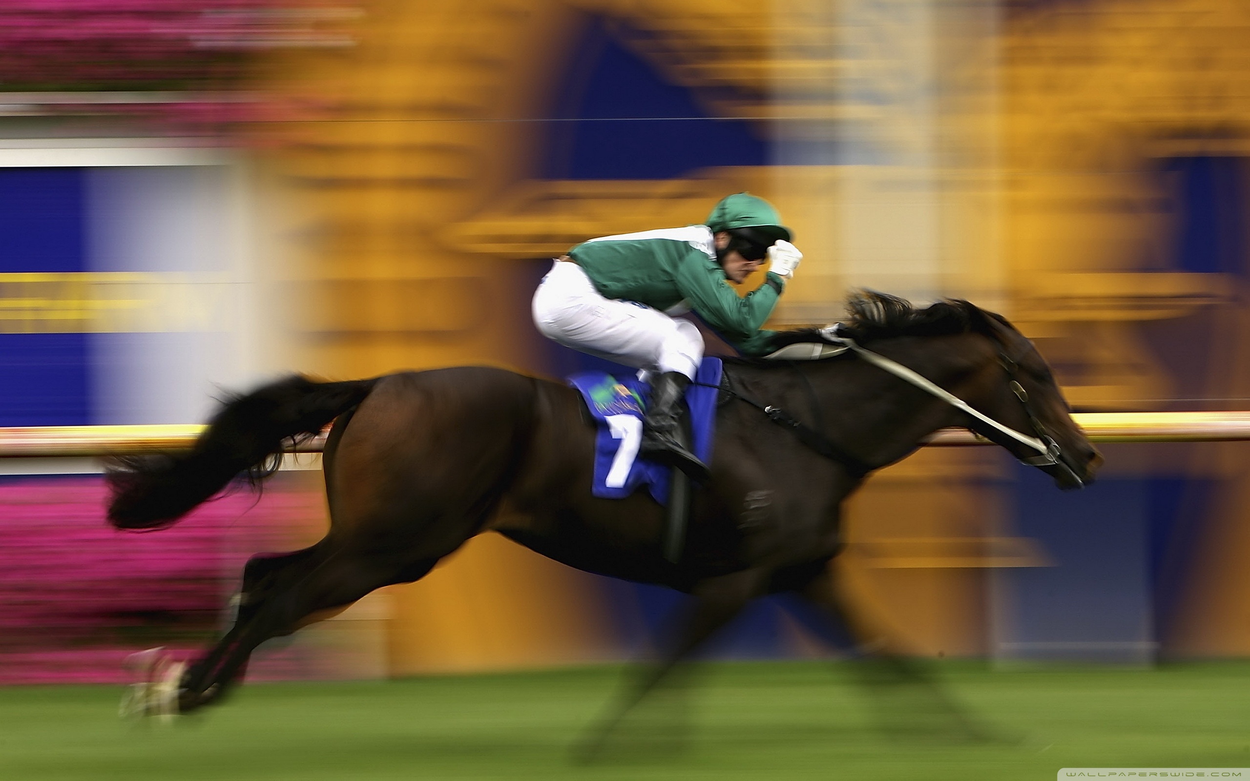 Horse Racing Wallpapers