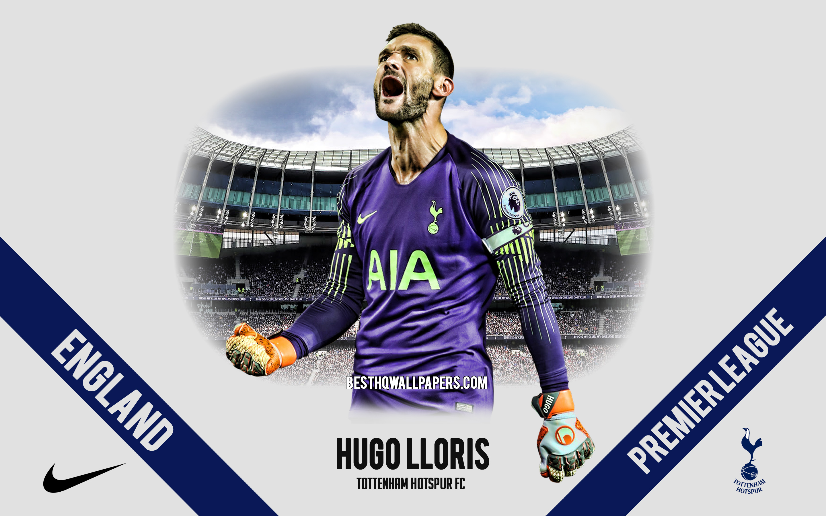 Hugo Lloris Wallpapers