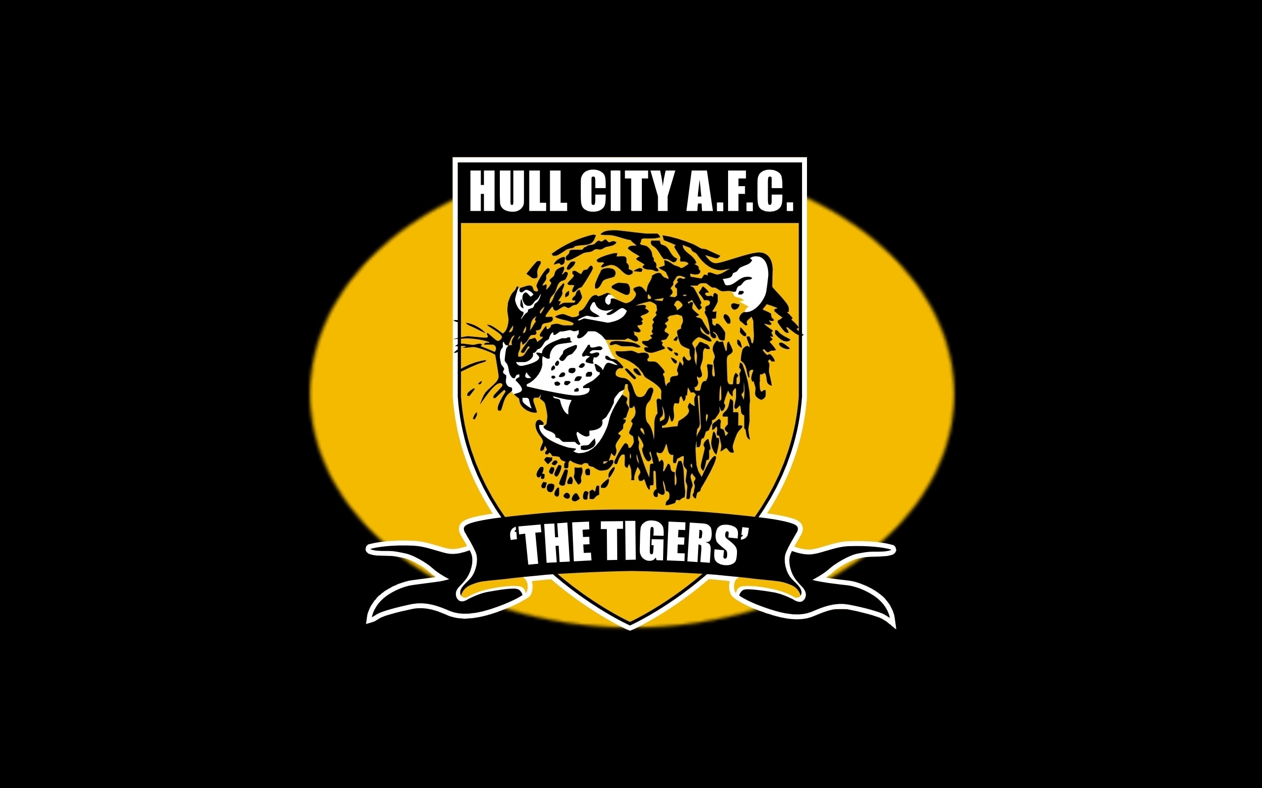 Hull City A.F.C. Wallpapers