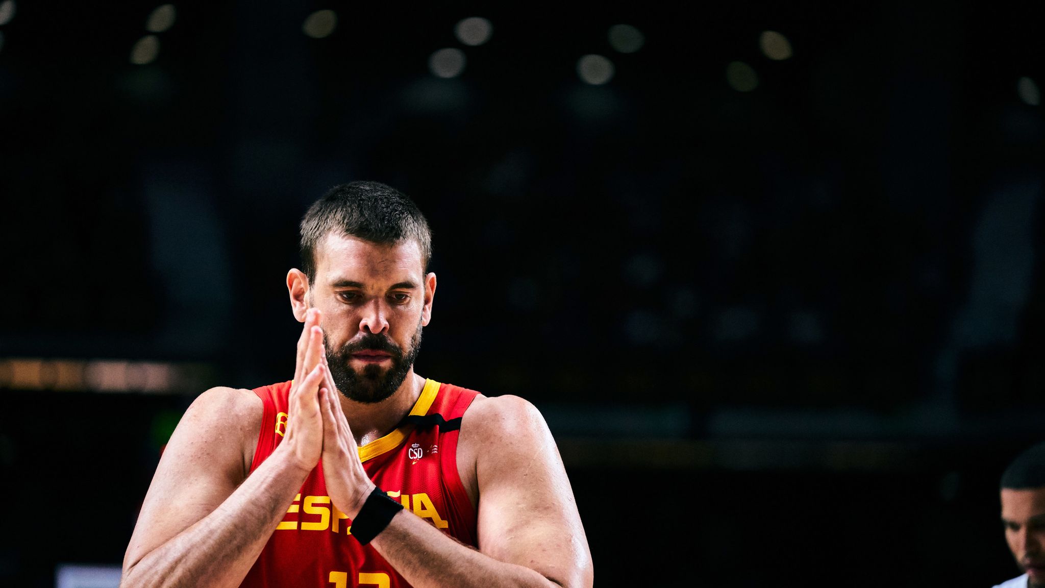 Marc Gasol Toronto Raptors Wallpapers