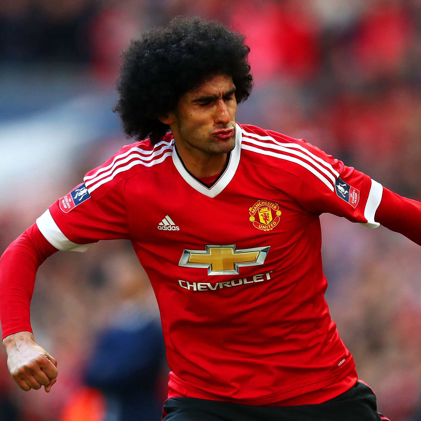 Marouane Fellaini Wallpapers