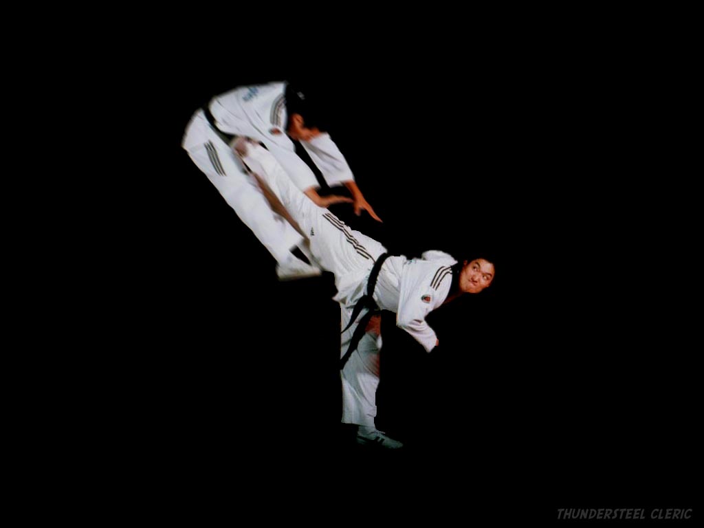 Martial Arts Wallpapers