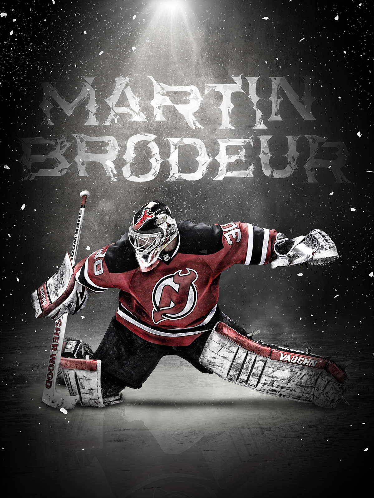 Martin Brodeur Wallpapers