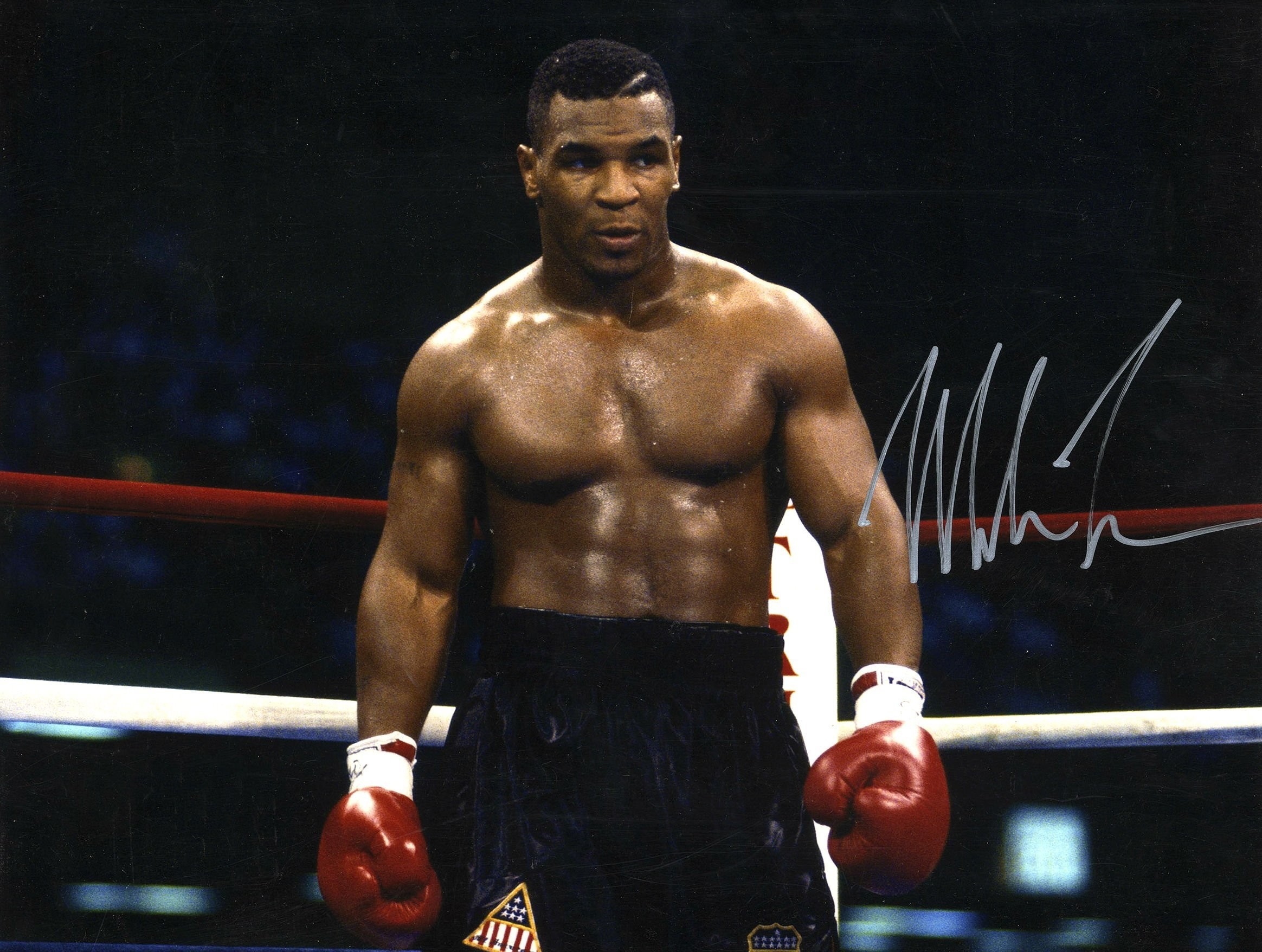 Mike Tyson Wallpapers