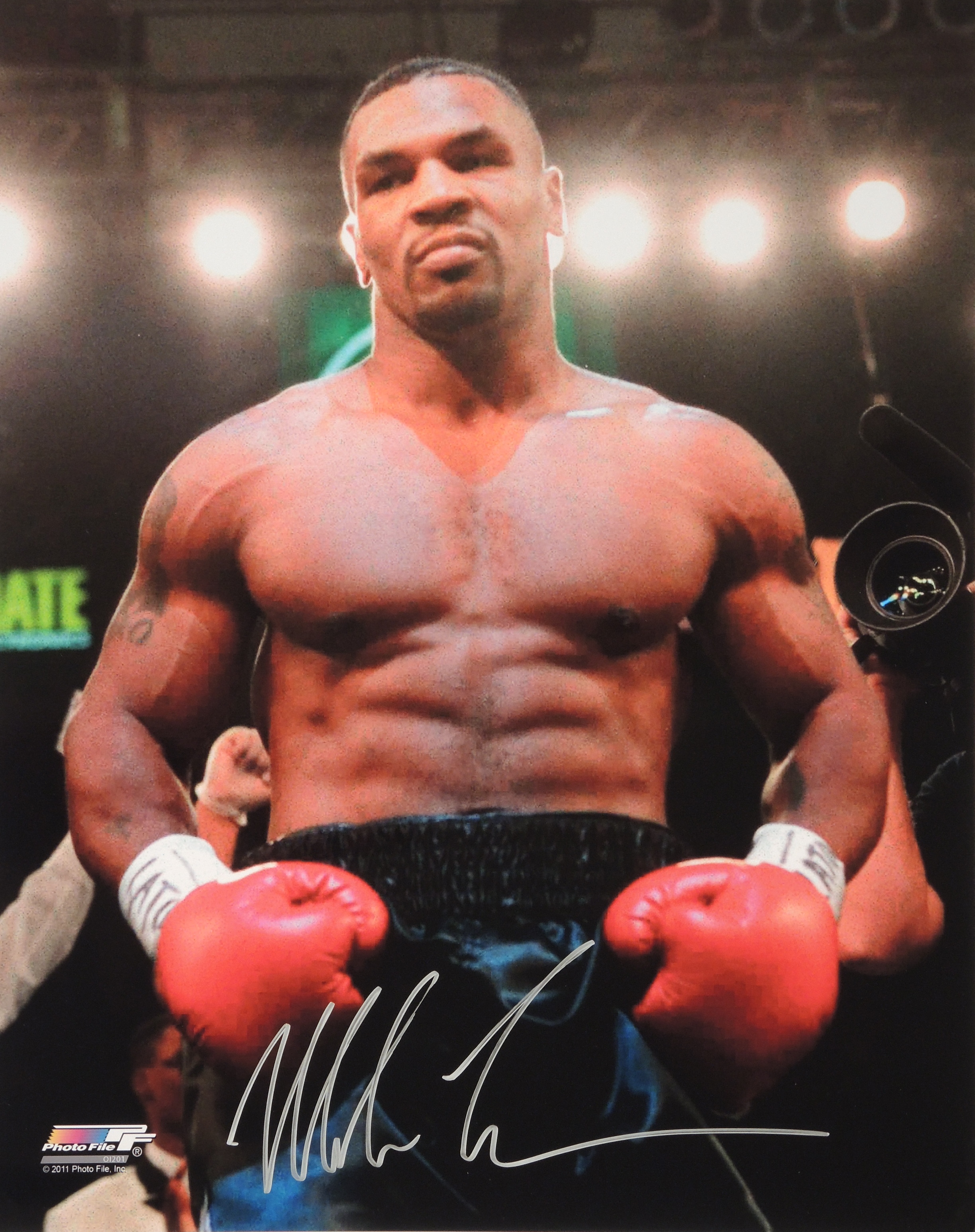 Mike Tyson Wallpapers