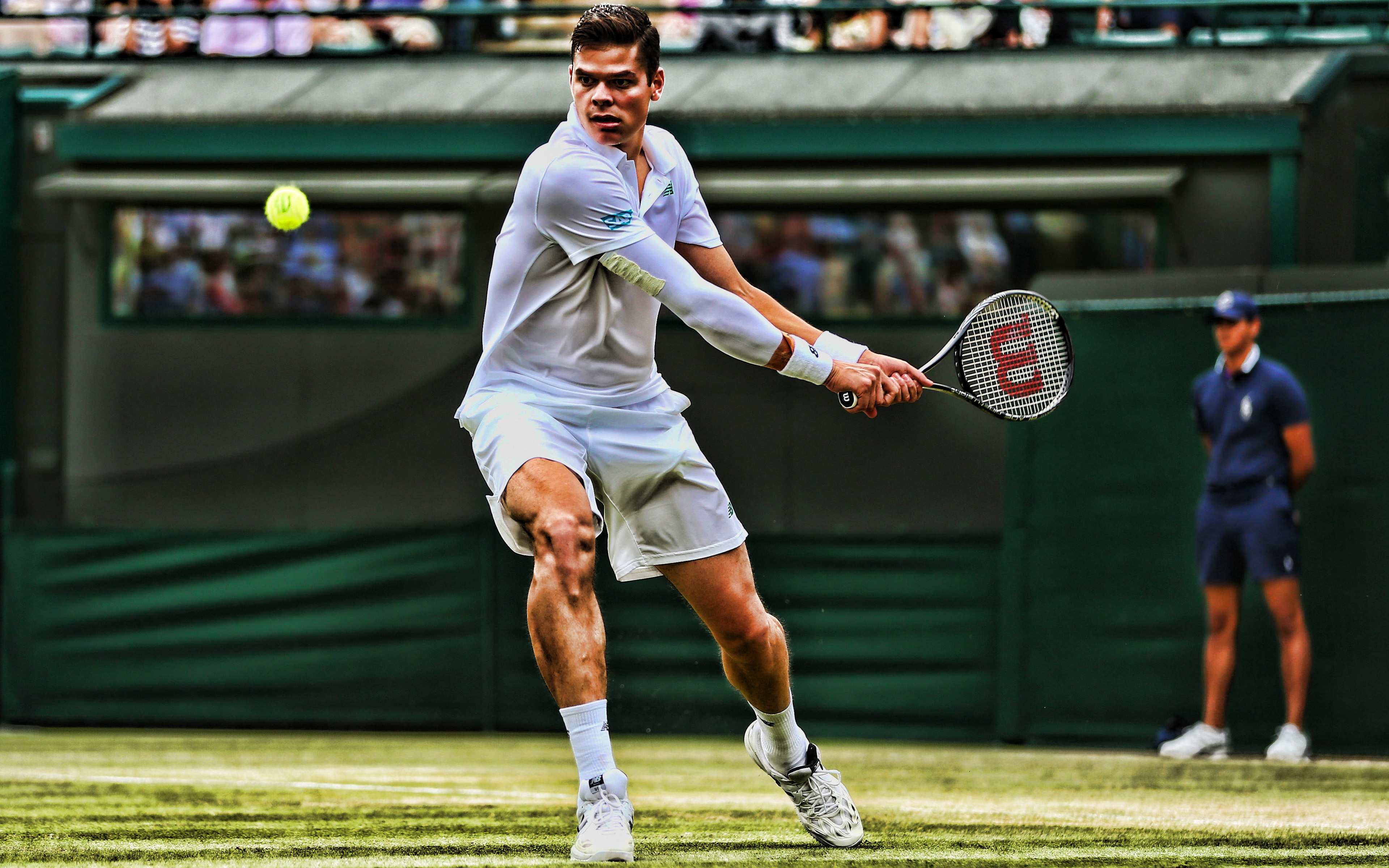 Milos Raonic Wallpapers