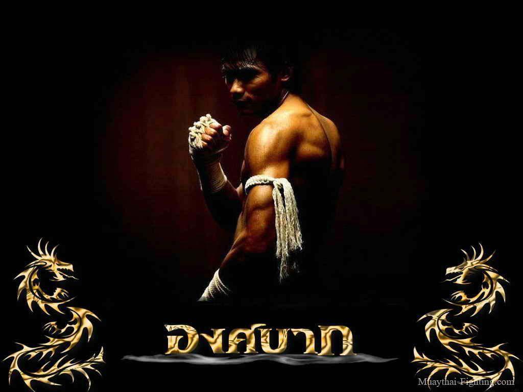 Muay Thai Wallpapers