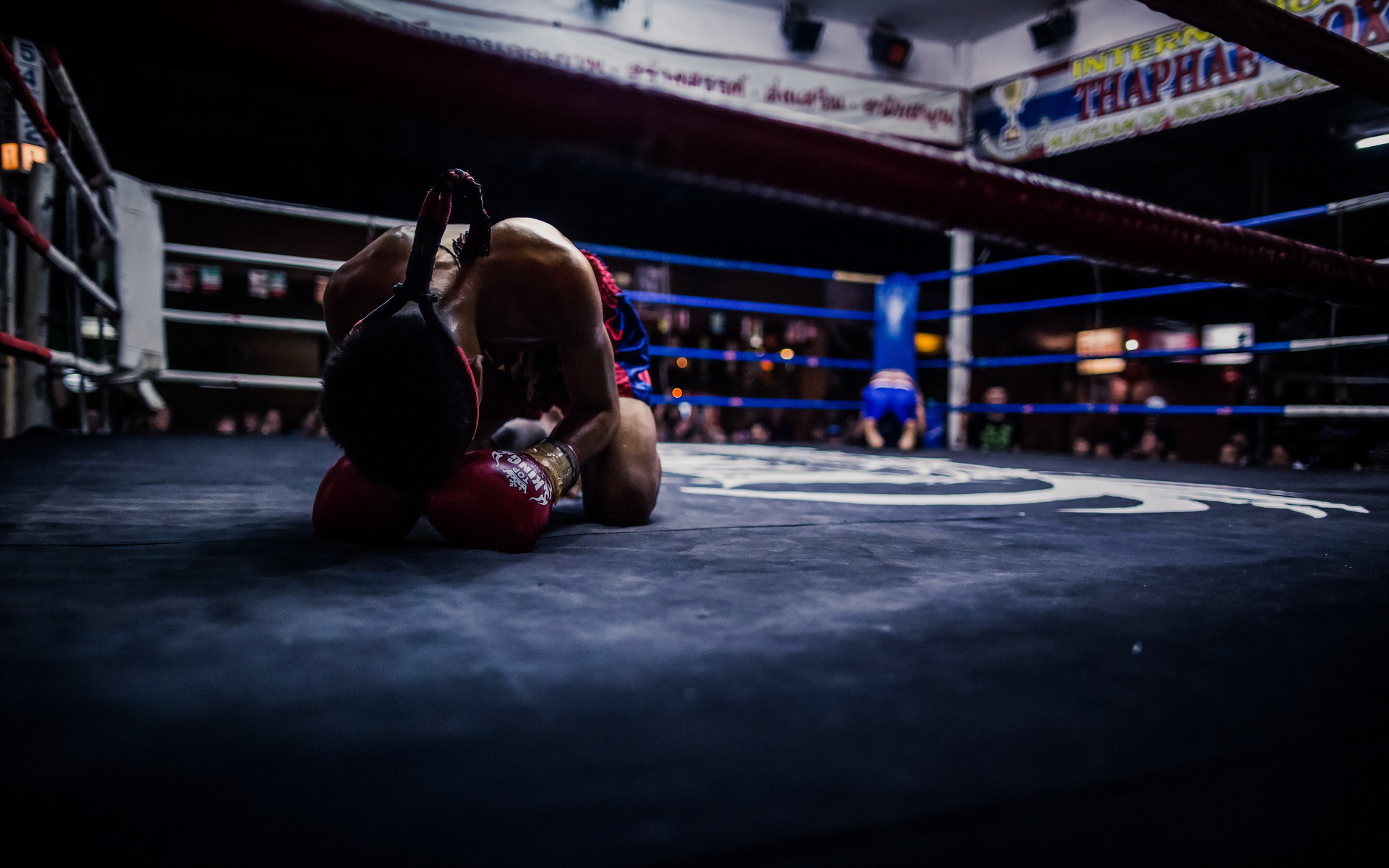 Muay Thai Boxing Wallpapers