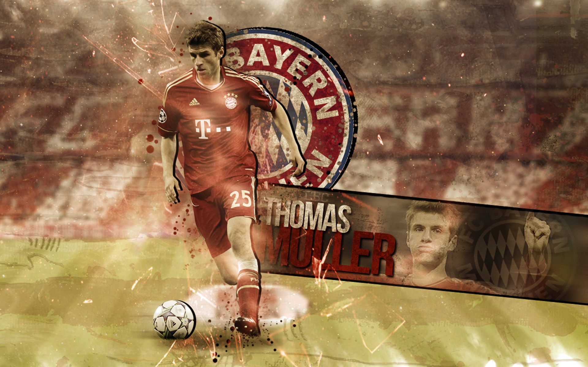 Muller Wallpapers