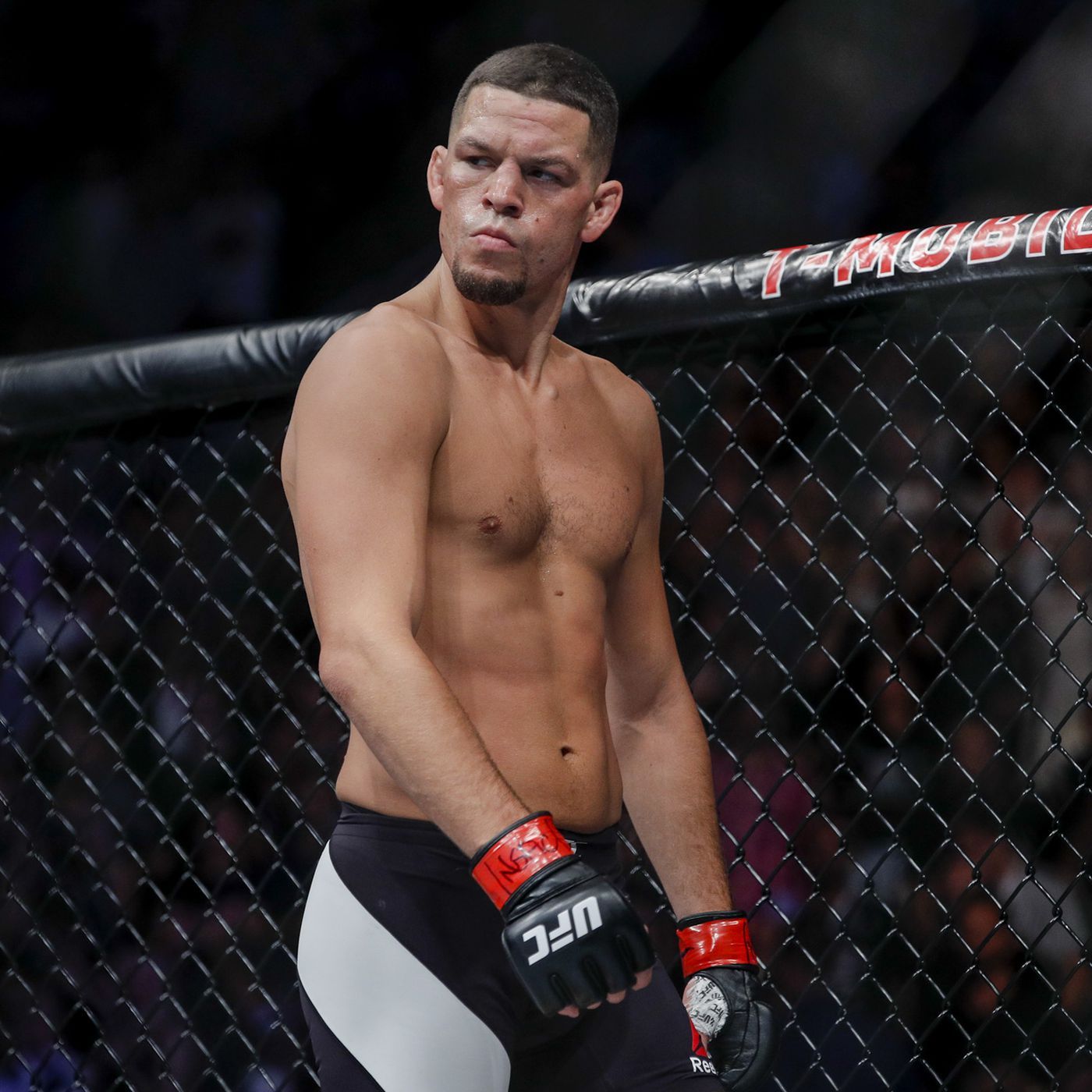 Nate Diaz Art Wallpapers