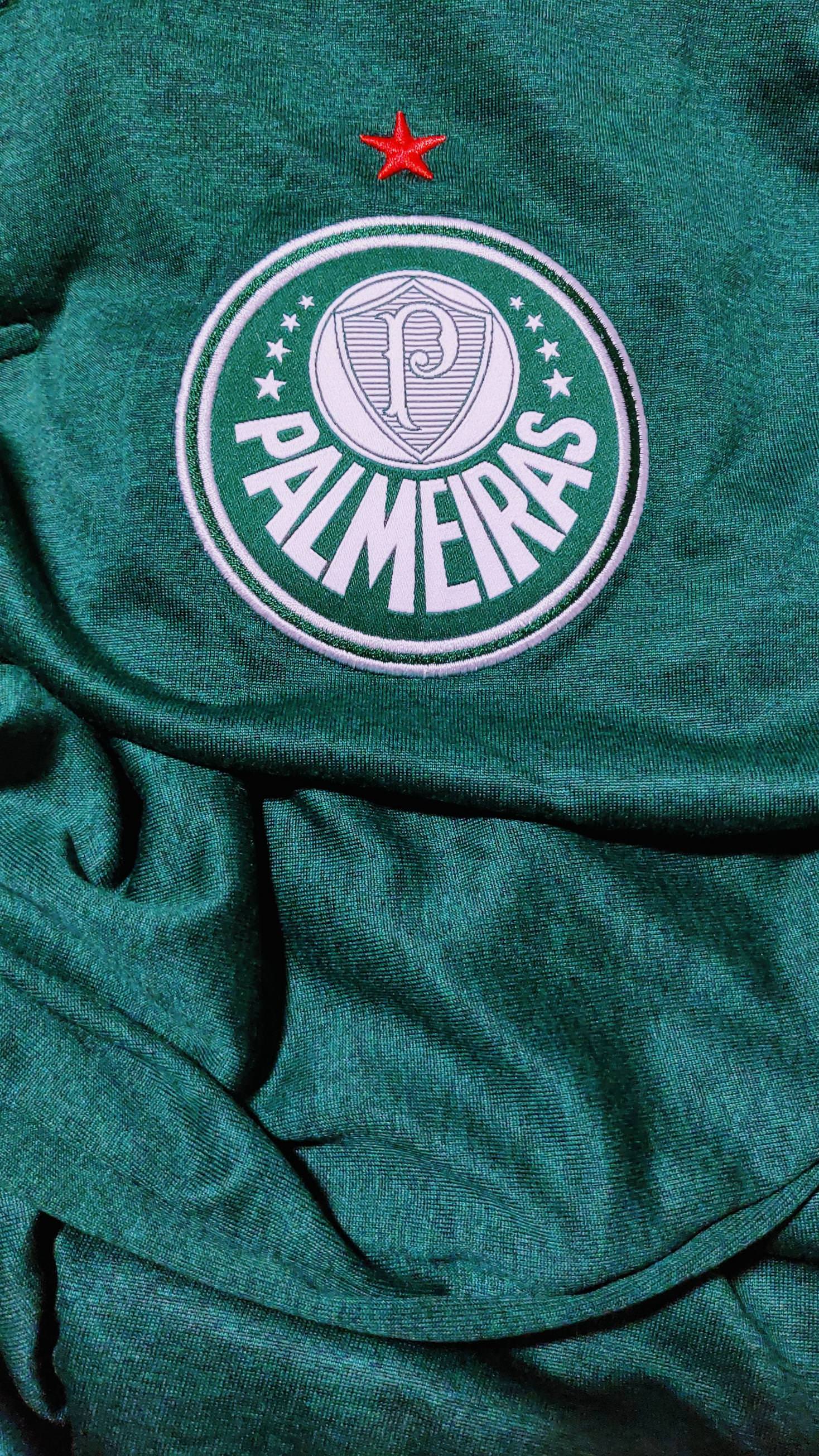 Palmeiras Wallpapers