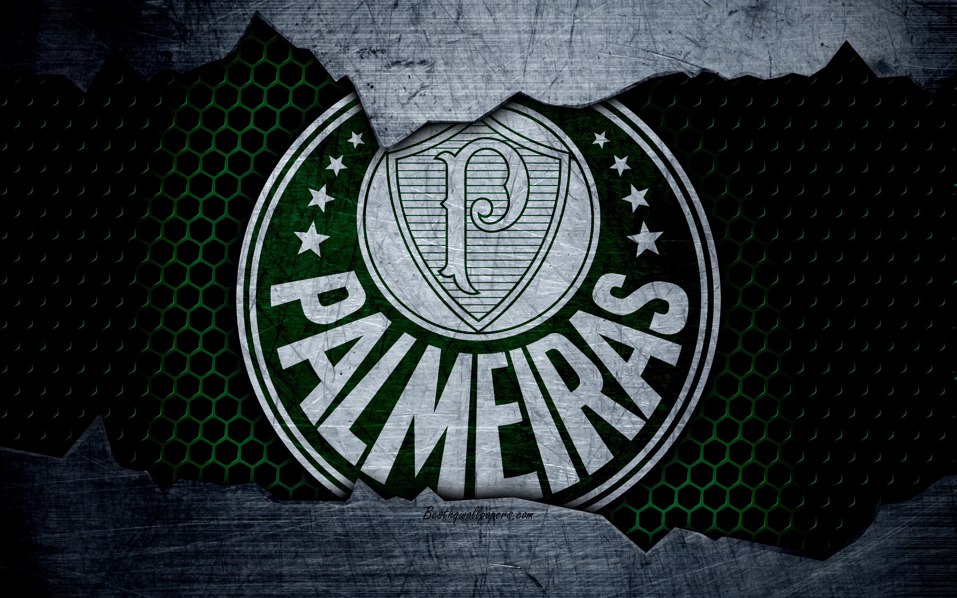 Palmeiras Wallpapers