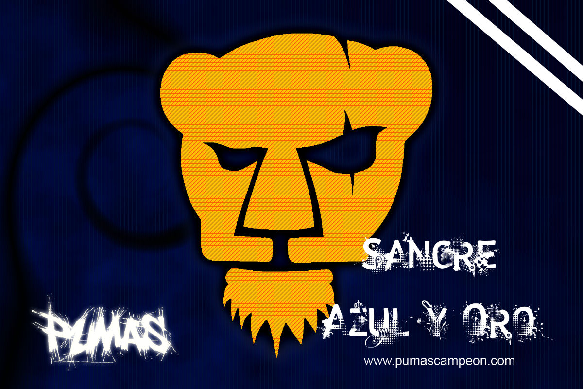 Pumas Unam Wallpapers