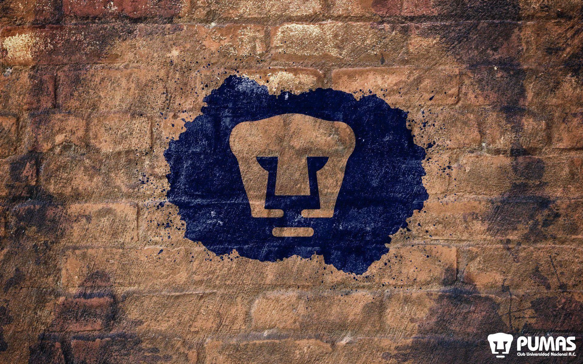 Pumas Unam Wallpapers