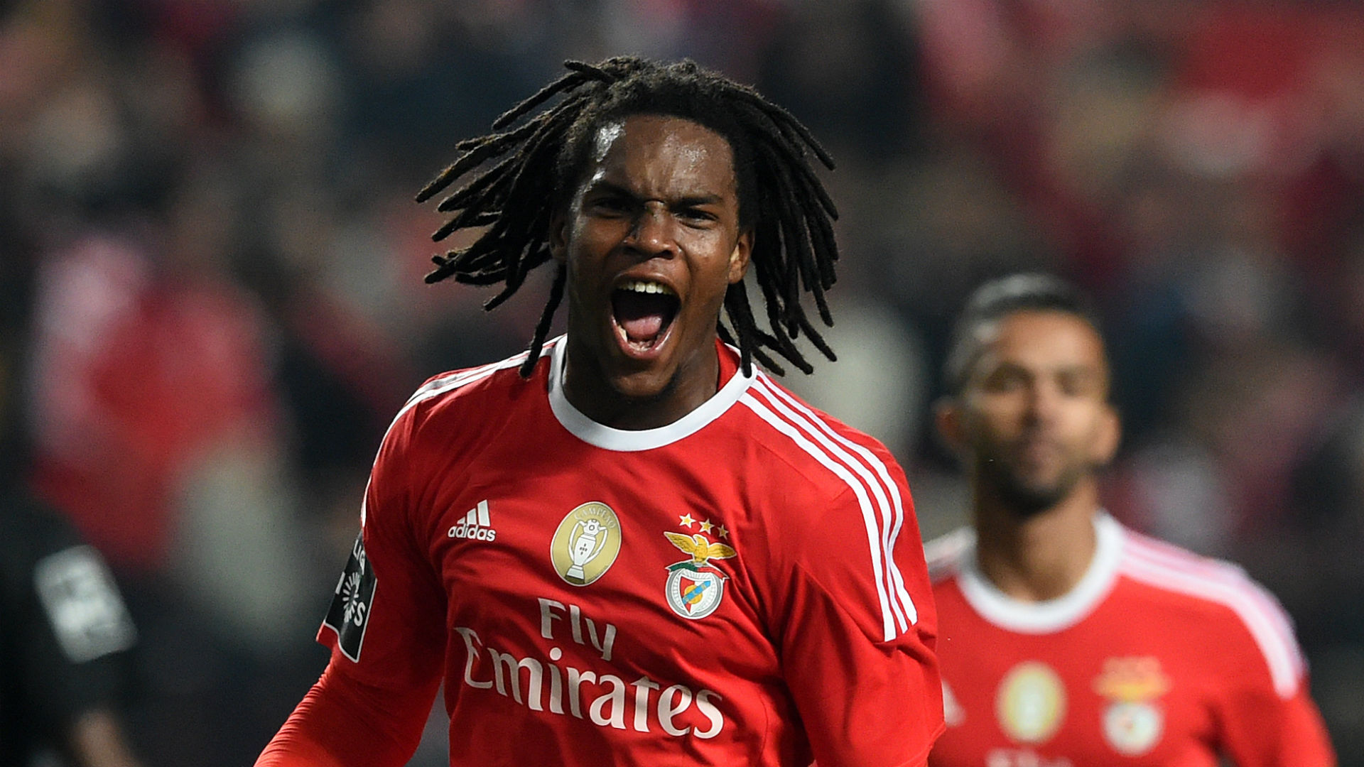 Renato Sanches Portuguese Footballer Wallpapers