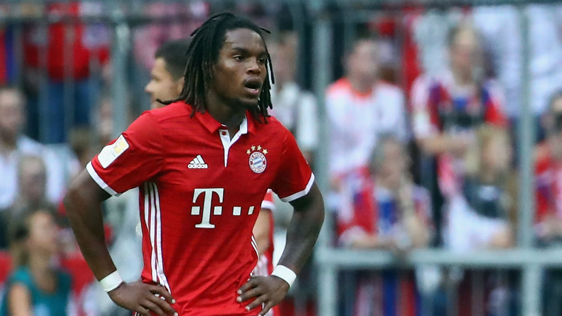 Renato Sanches Portuguese Footballer Wallpapers