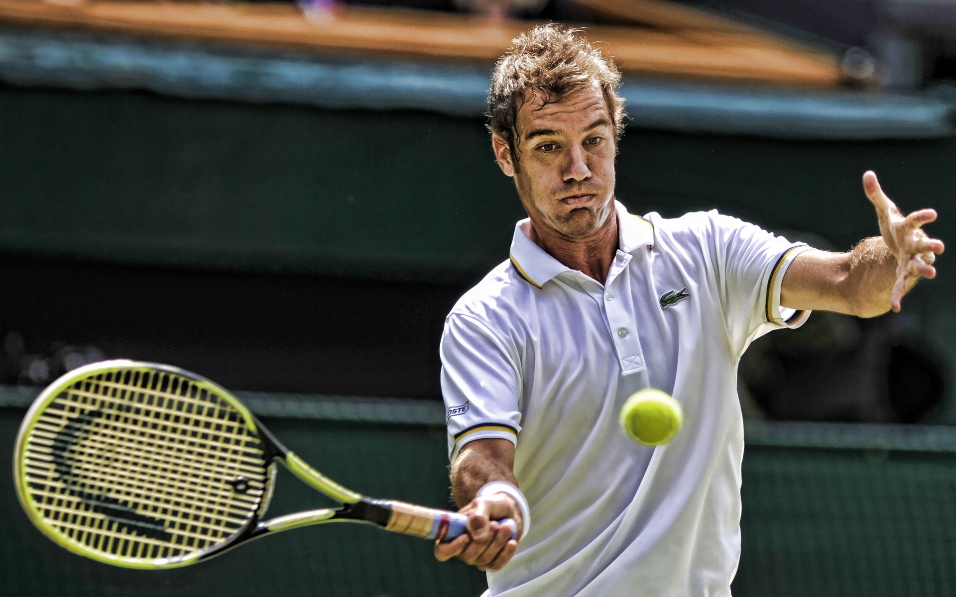 Richard Gasquet Wallpapers