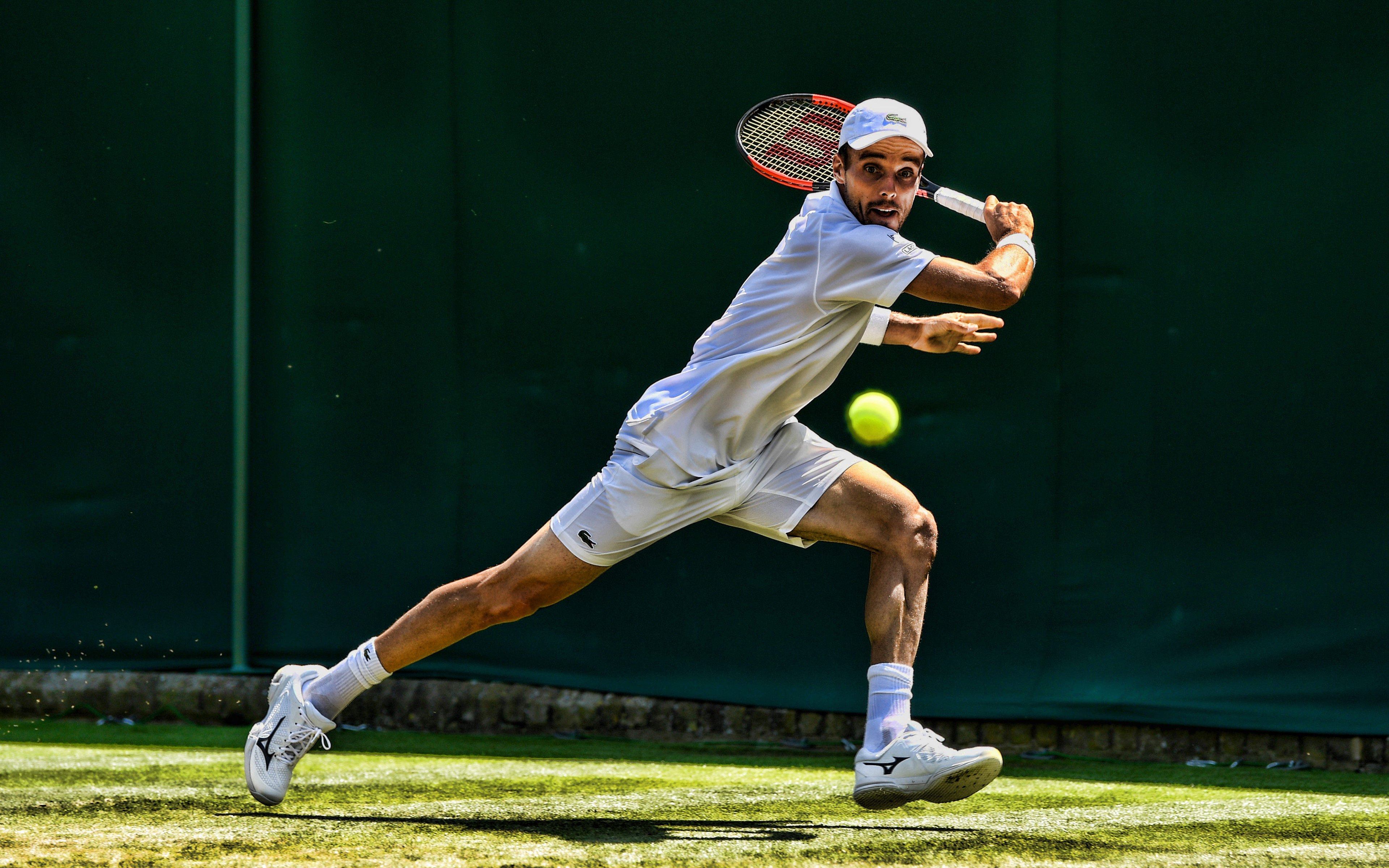 Roberto Bautista Agut Wallpapers