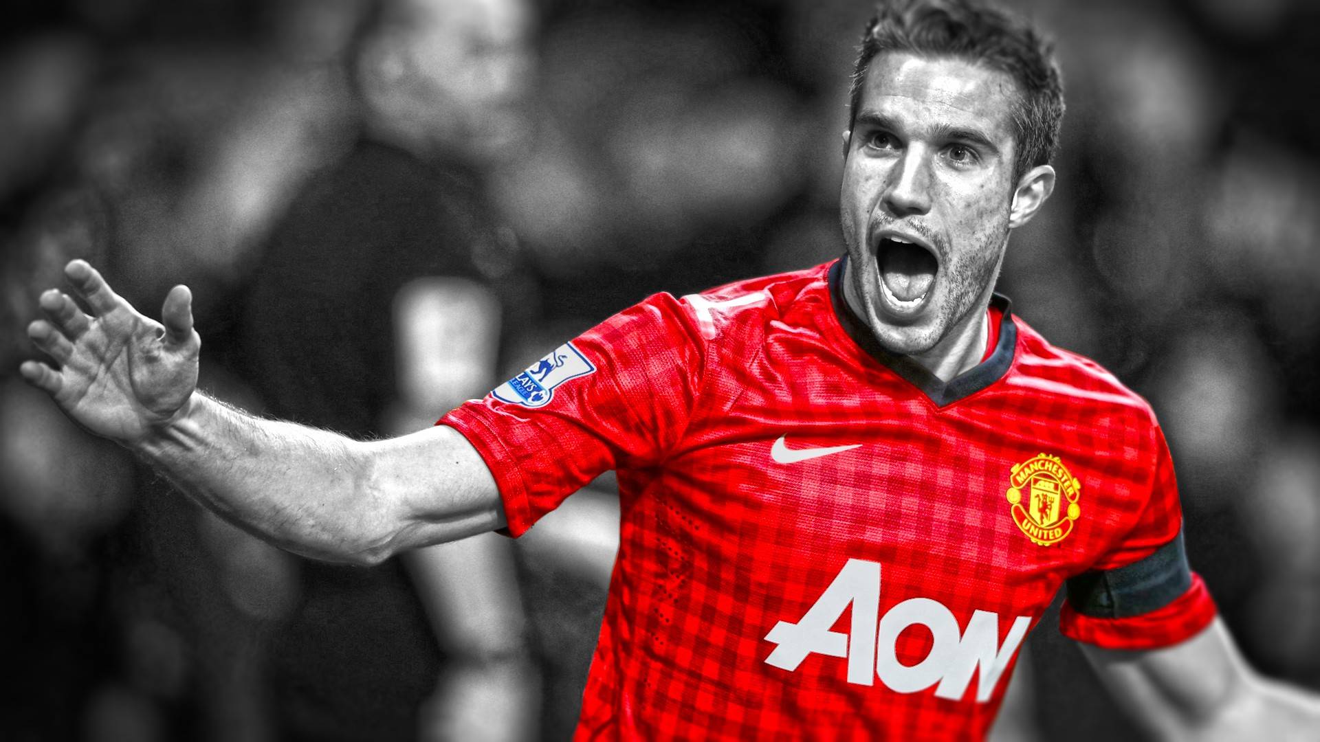 Robin Van Persie Wallpapers