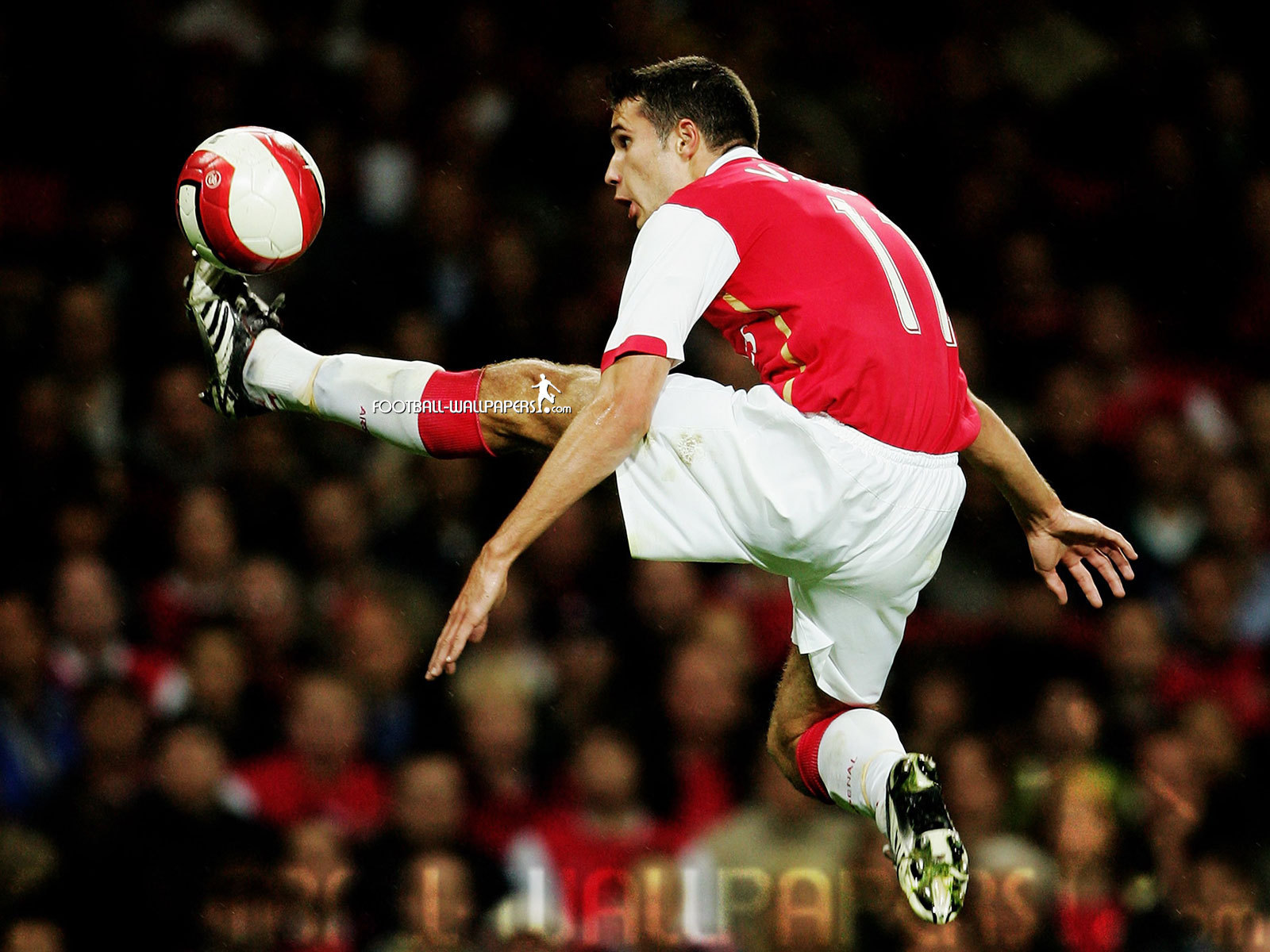 Robin Van Persie Wallpapers