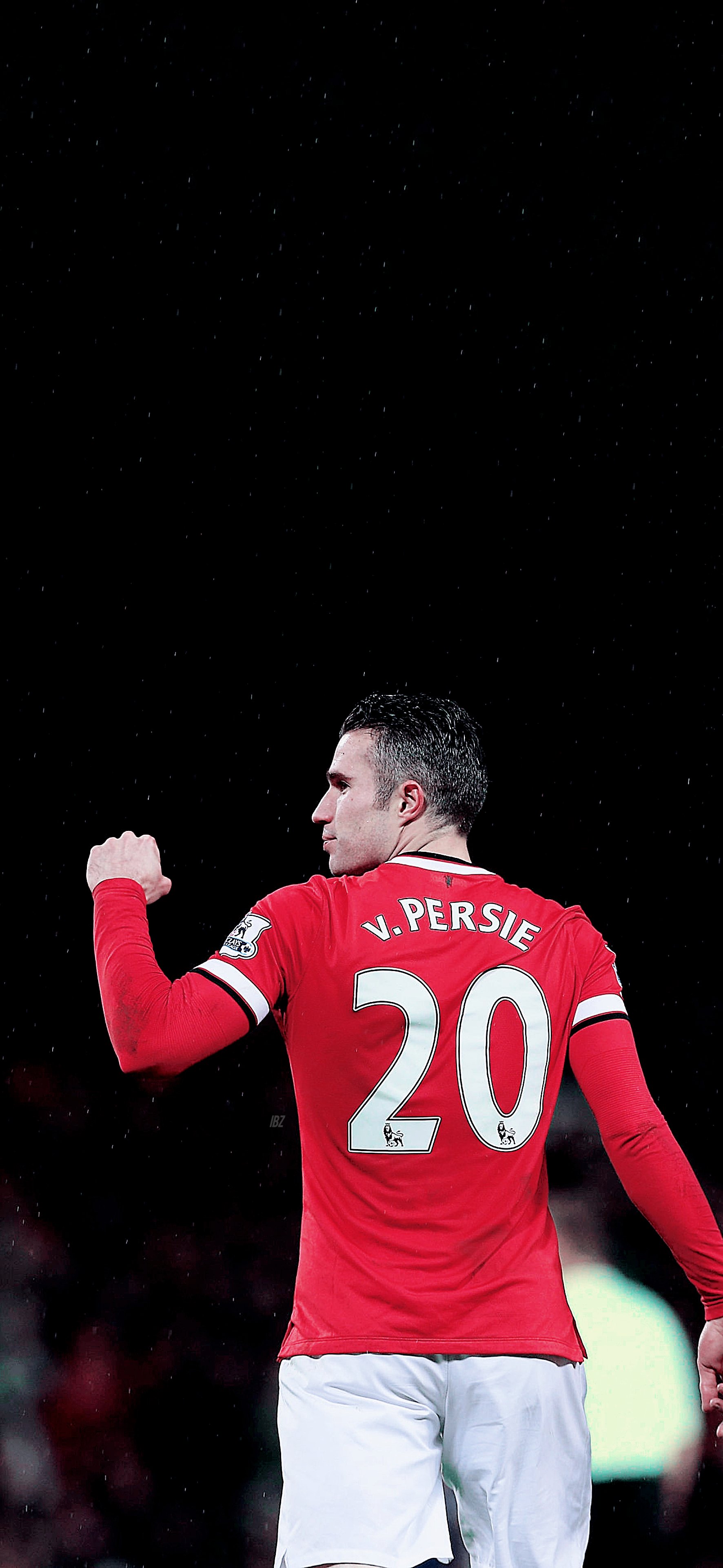 Robin Van Persie Wallpapers