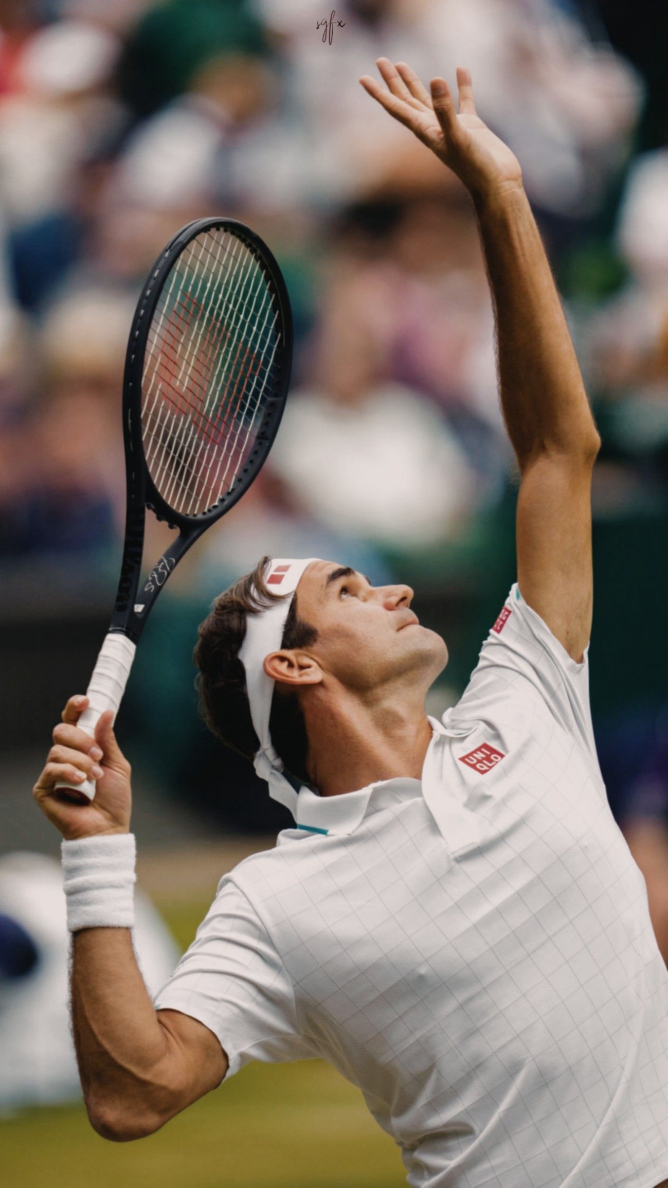 Roger Federer Wallpapers